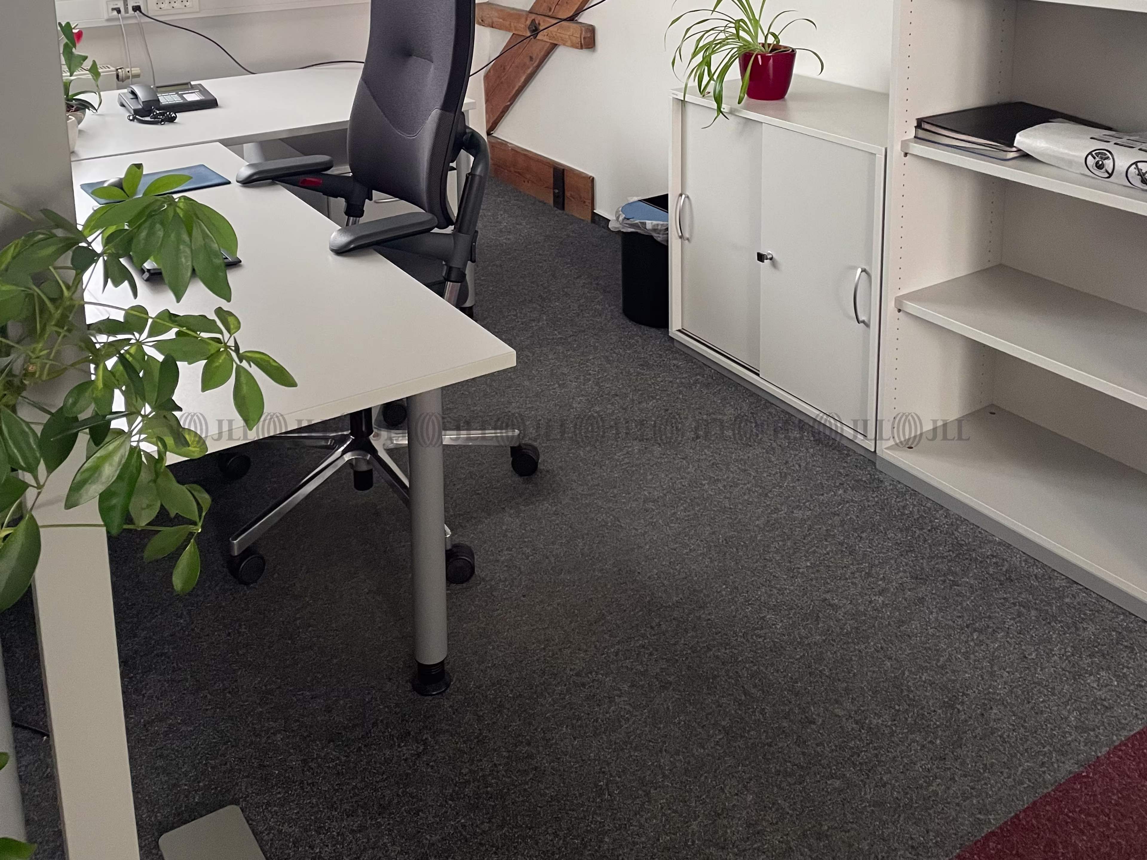 Büroimmobilie - Ludwigshafen am Rhein, Mitte - F3020