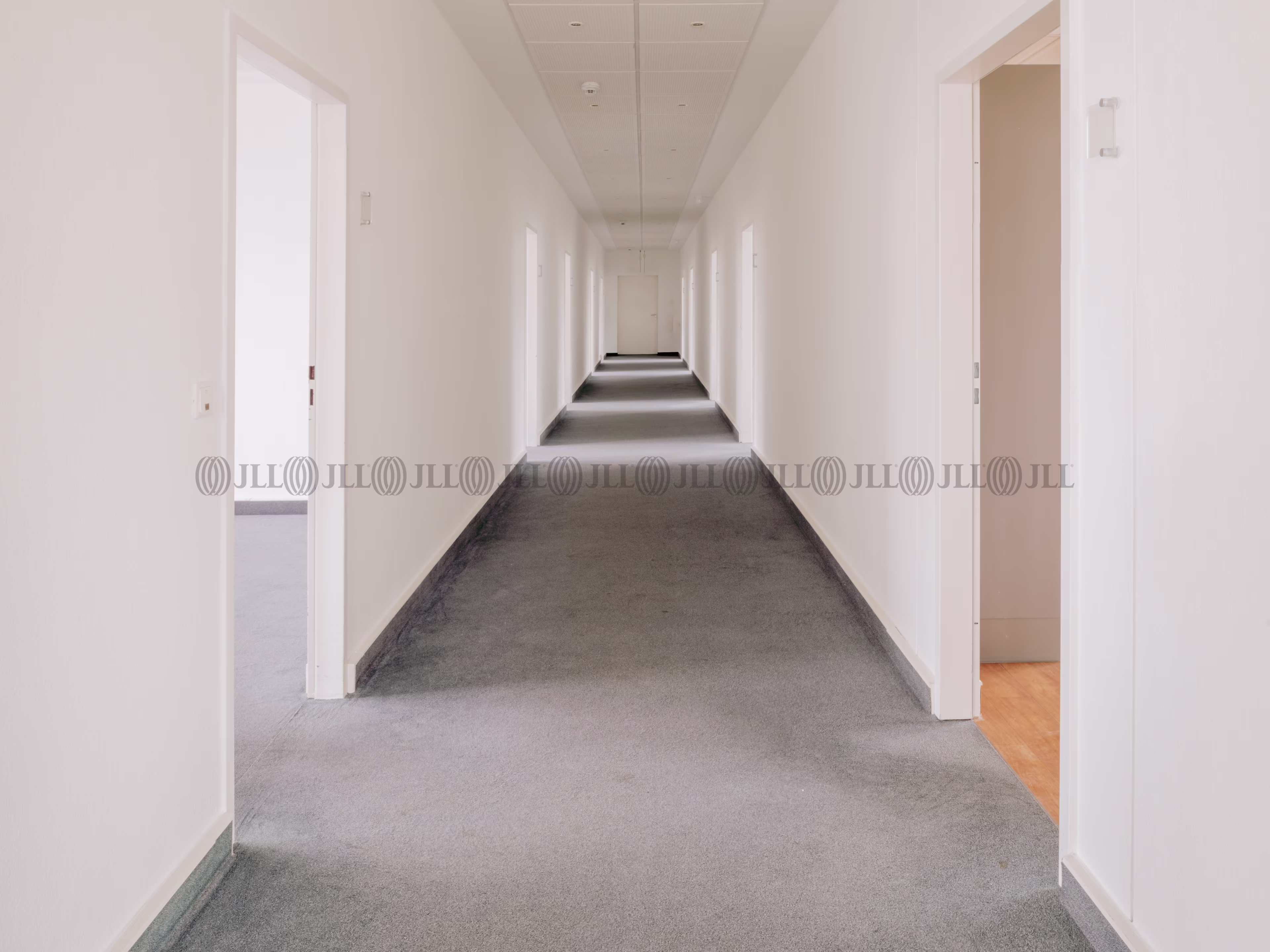 Büroimmobilie - Berlin, Tiergarten - B1024