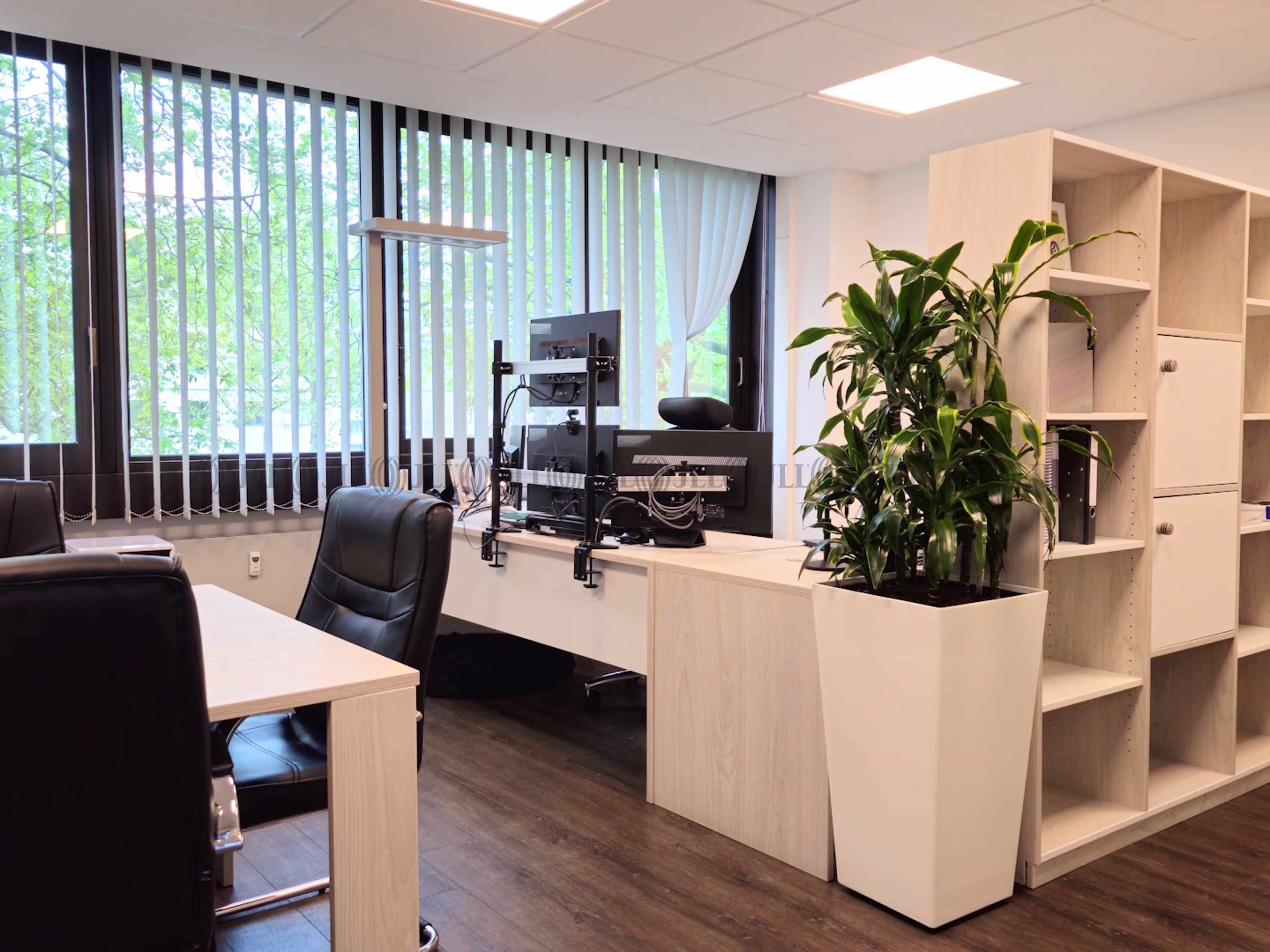 Büroimmobilie - Bonn, Friesdorf - K0600