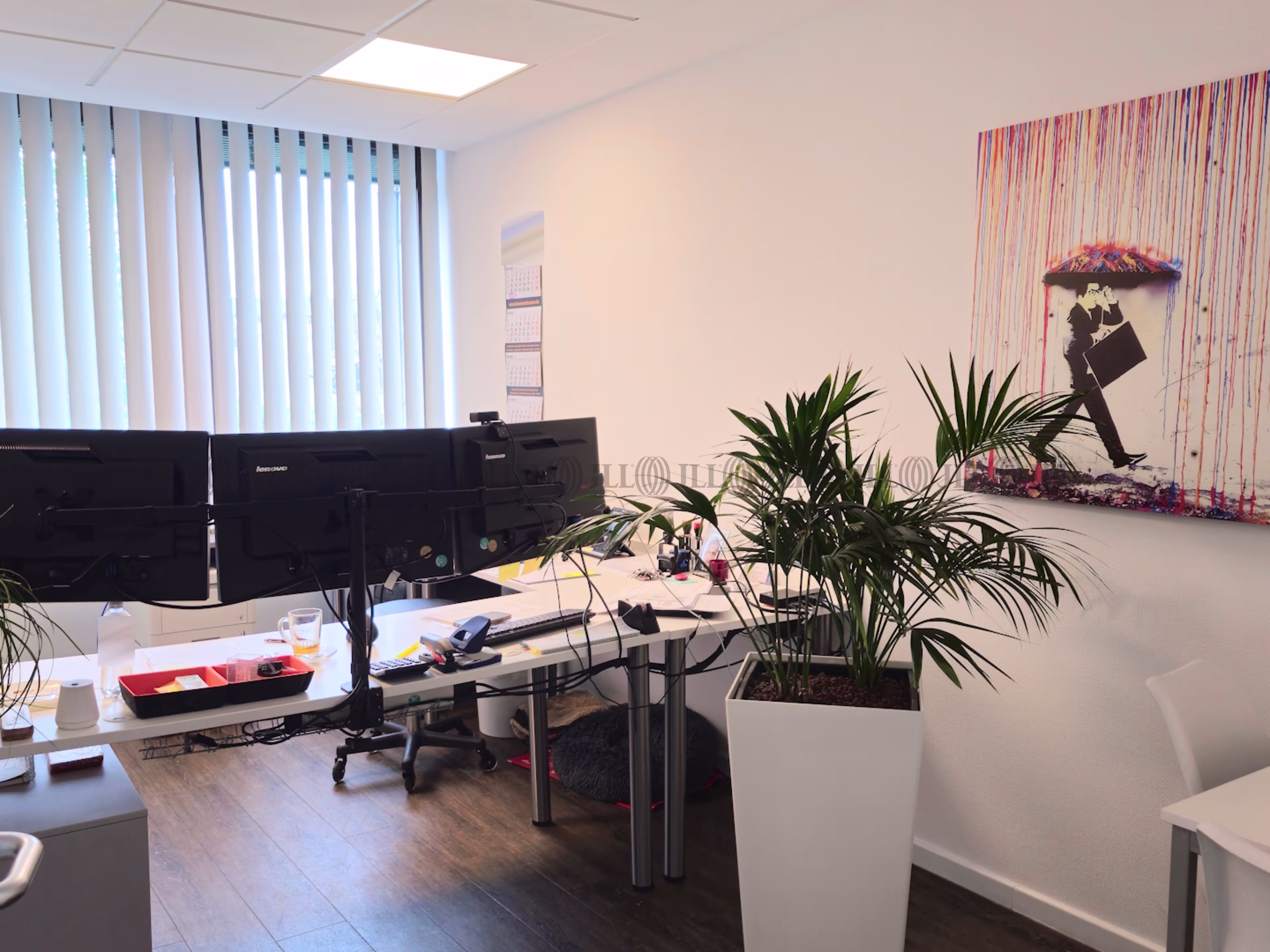Büroimmobilie - Bonn, Friesdorf - K0600