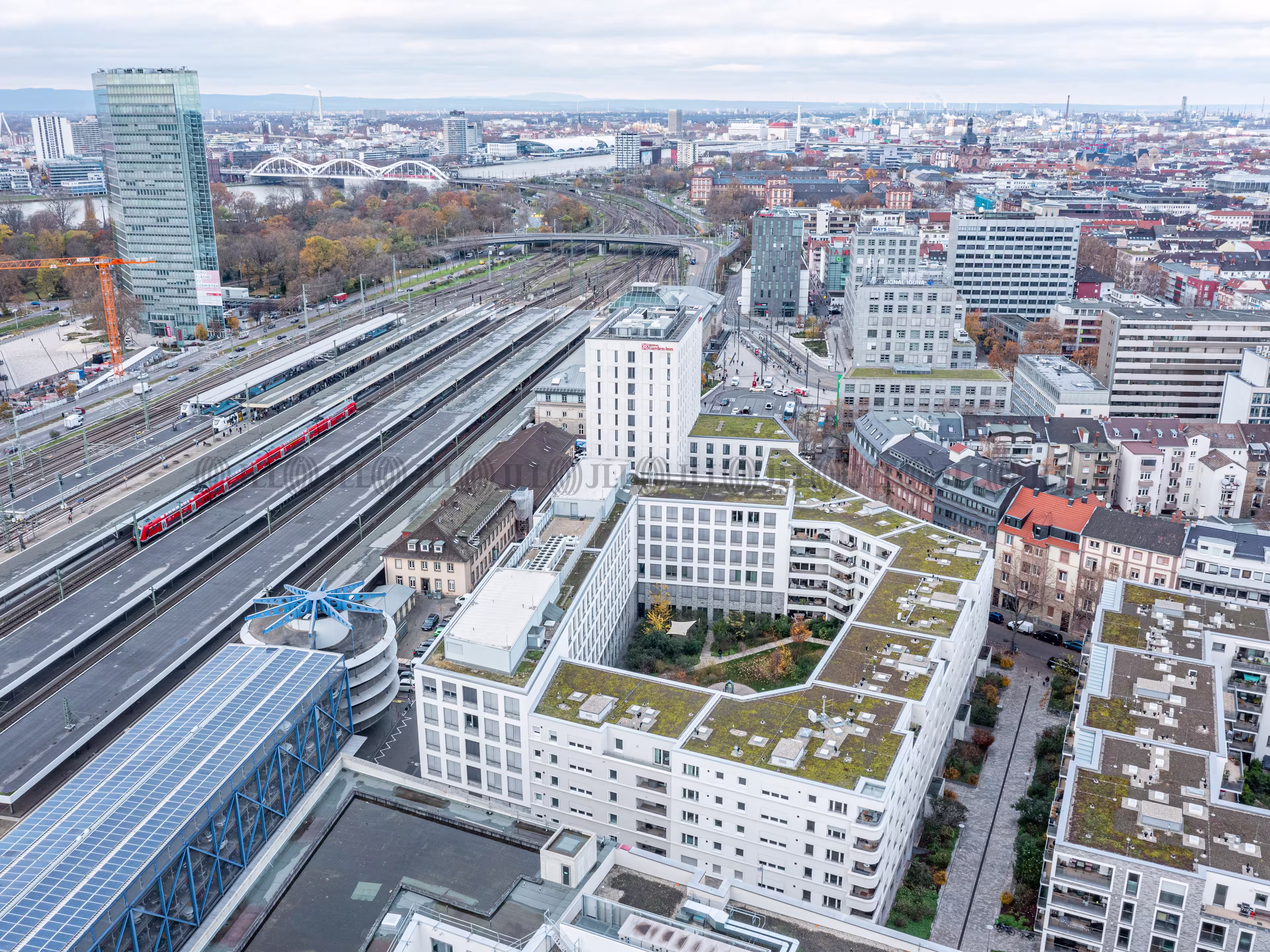 Büroimmobilie - Mannheim, Schwetzingerstadt - F2318