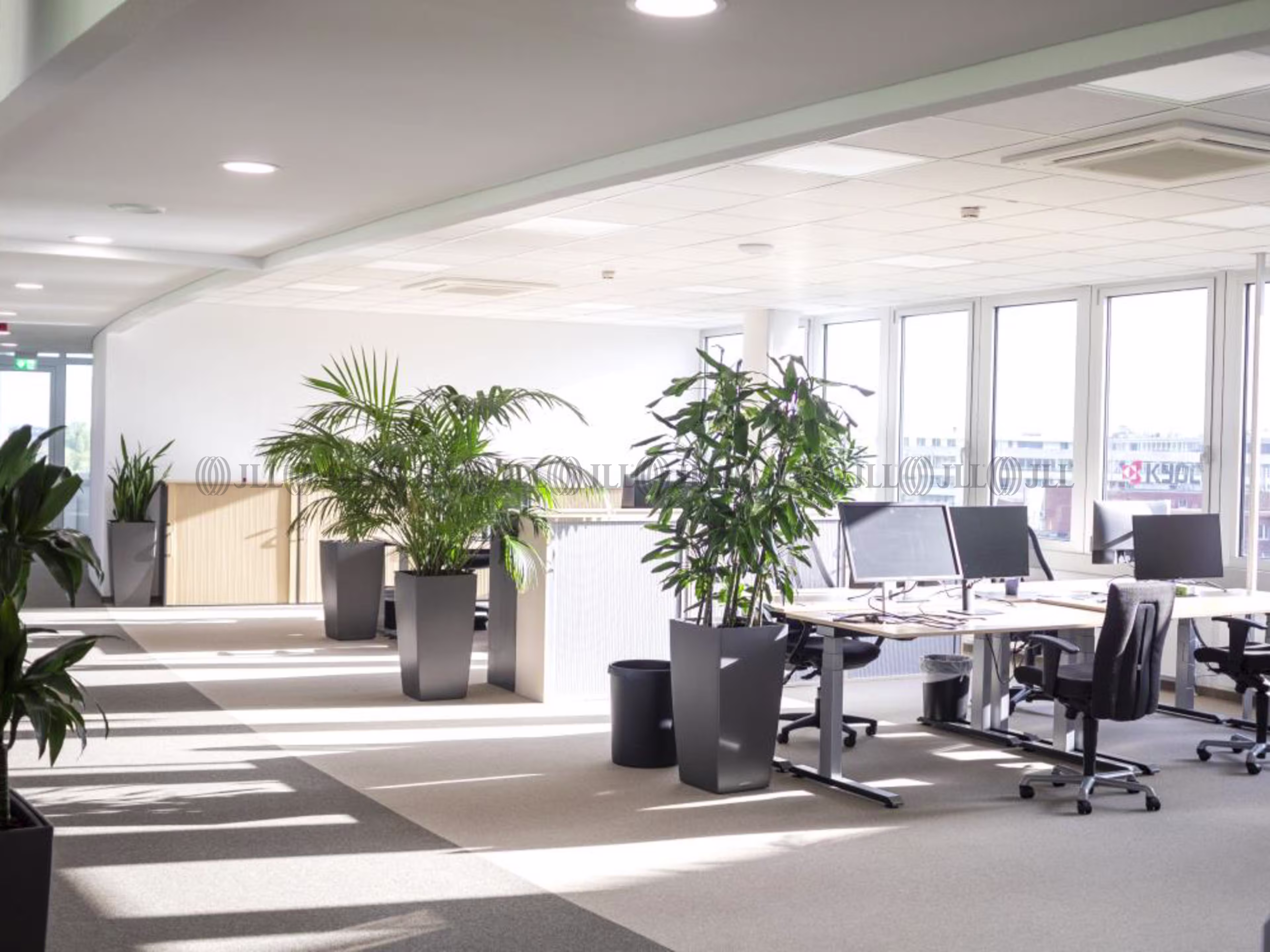Büroimmobilie - Neuss - D0511