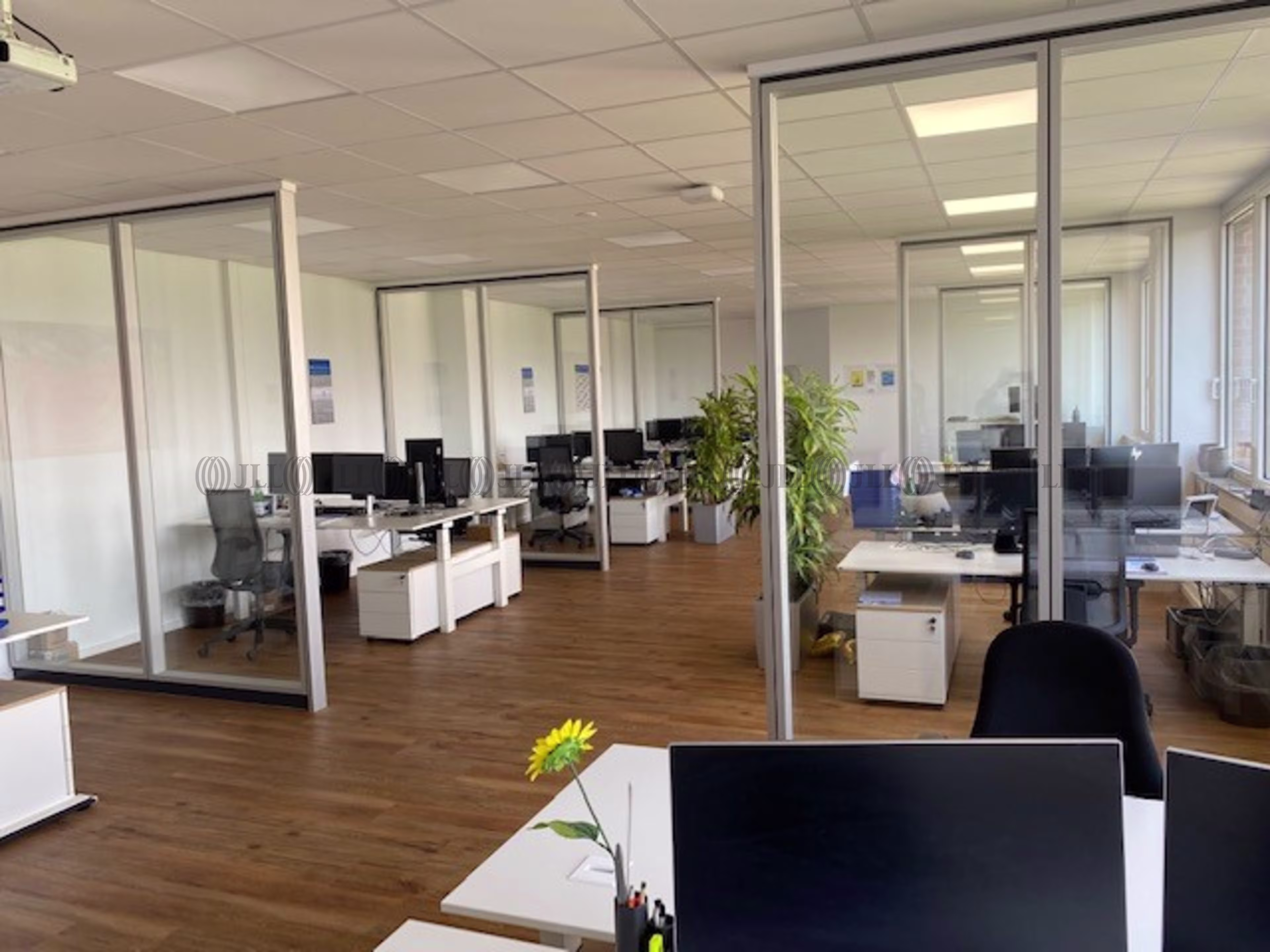 Büroimmobilie - Neuss - D0521