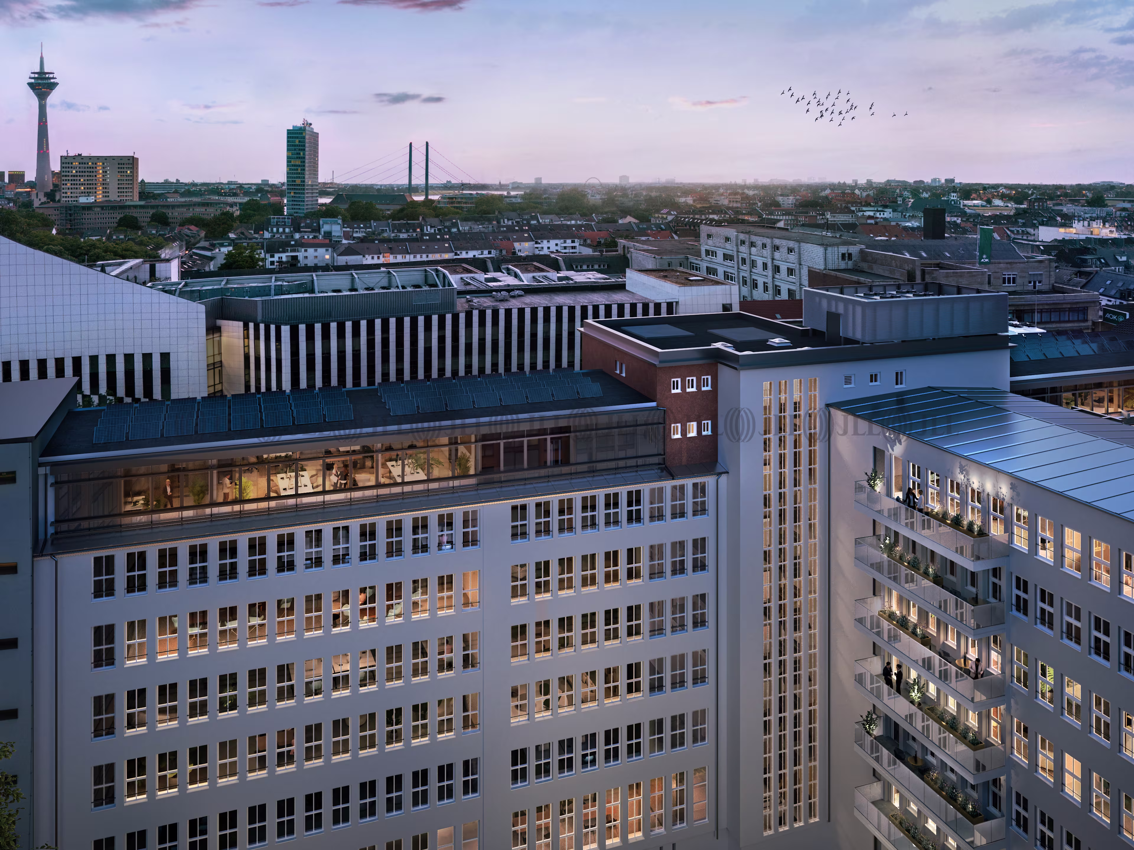 Büroimmobilie - Düsseldorf, Stadtmitte - D3300