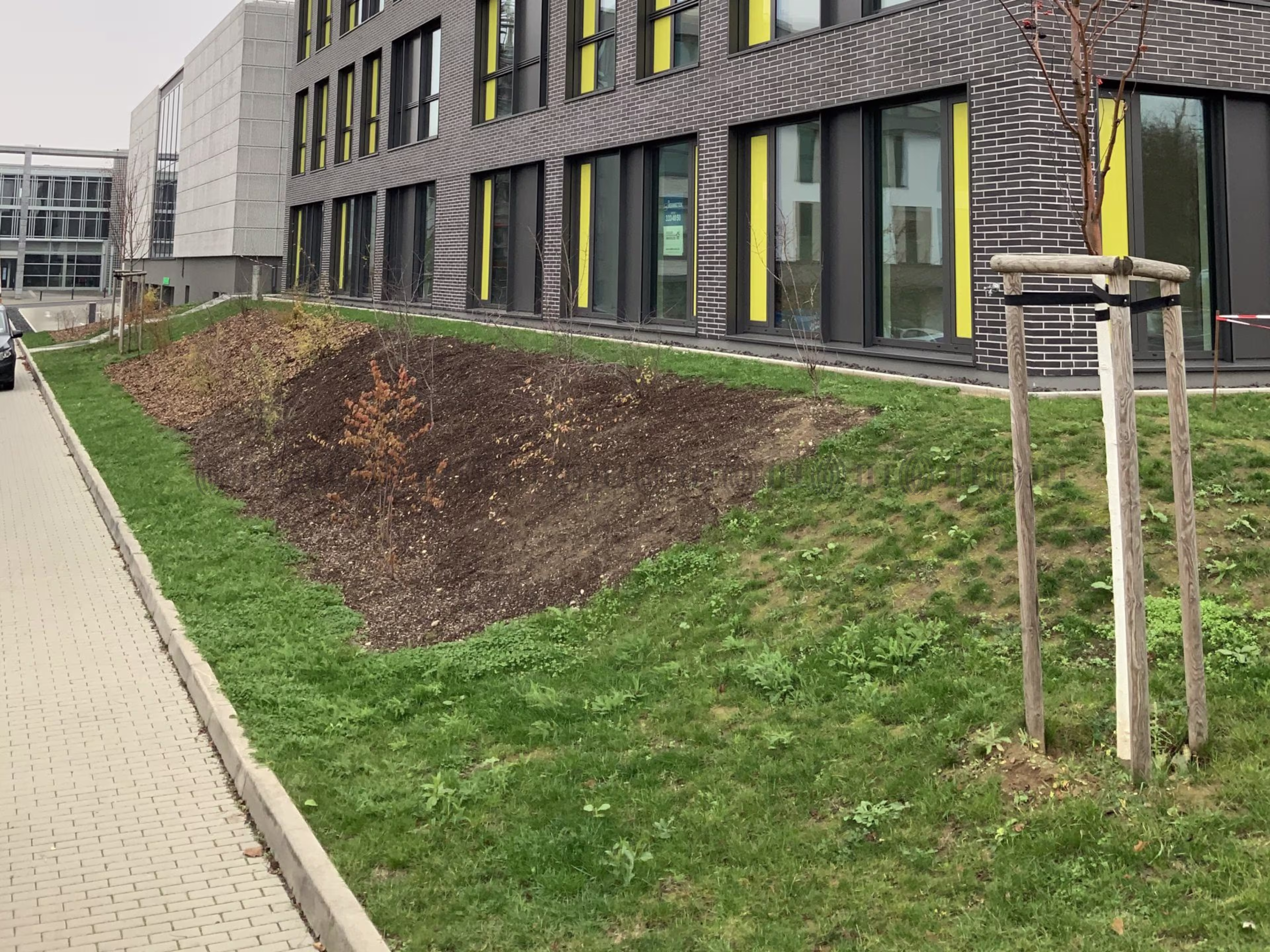 Büroimmobilie - Mainz, Bretzenheim - F2849