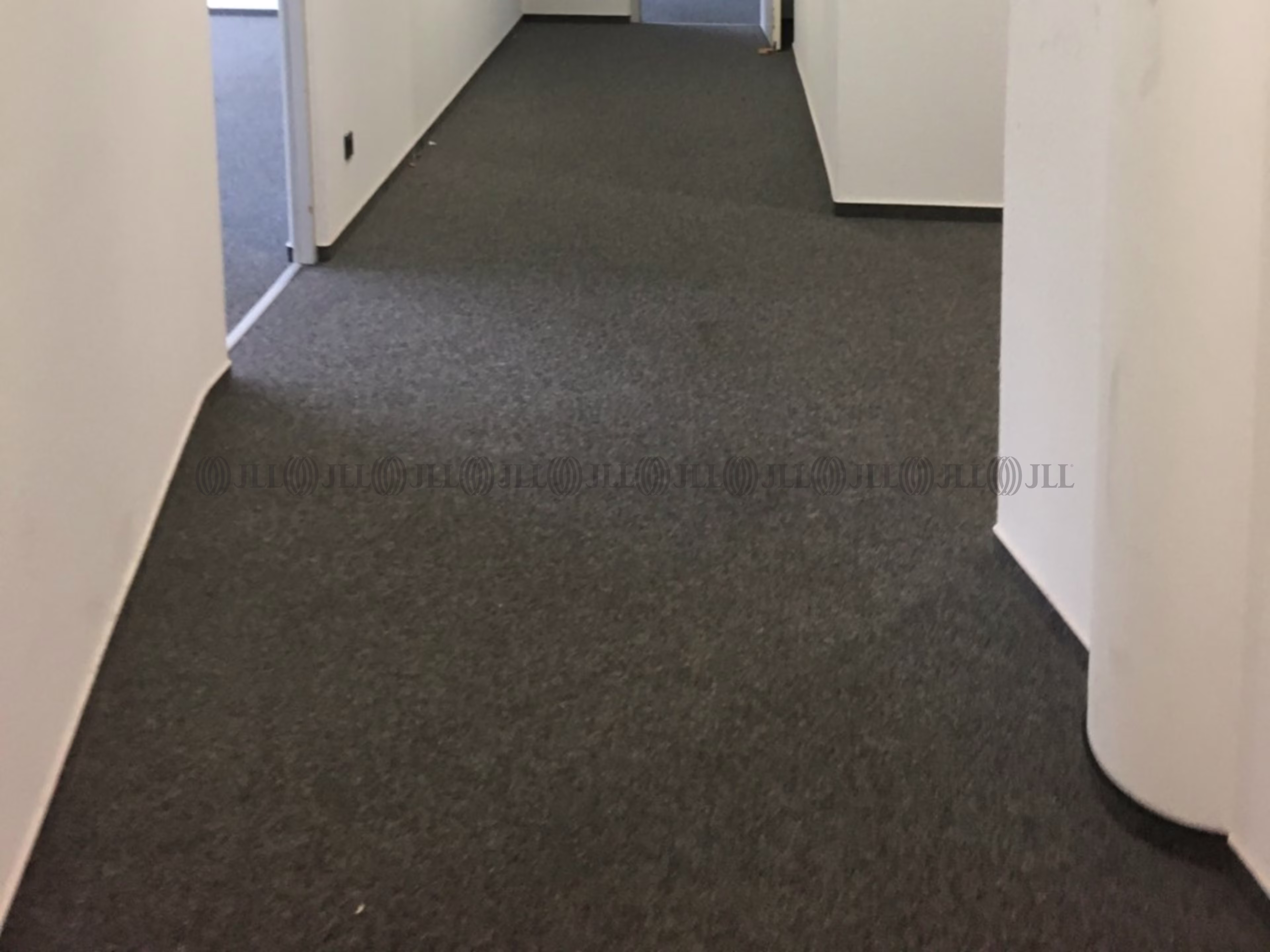 Büroimmobilie - Ludwigshafen am Rhein, Süd - F3056