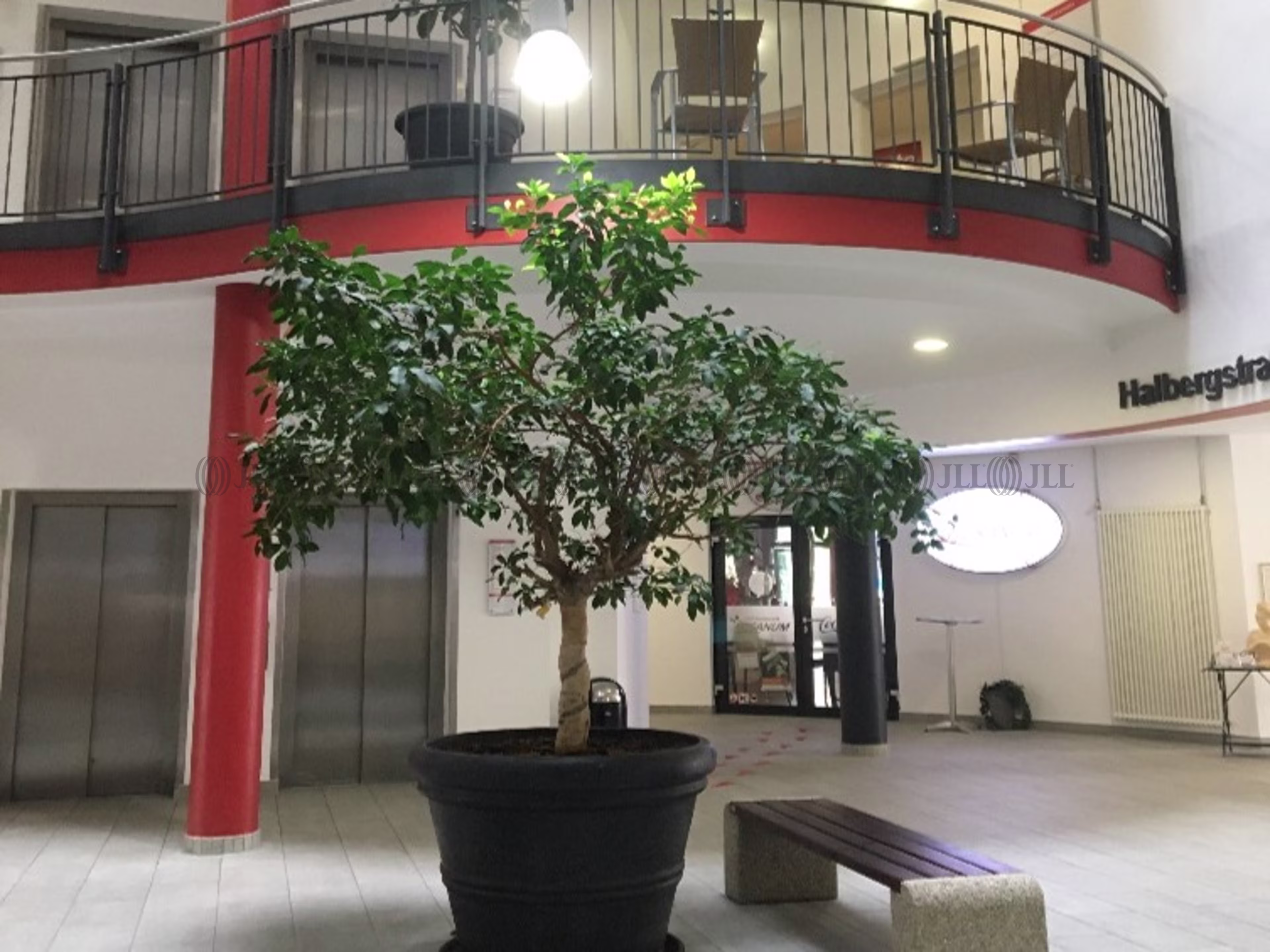 Büroimmobilie - Ludwigshafen am Rhein, Süd - F3056