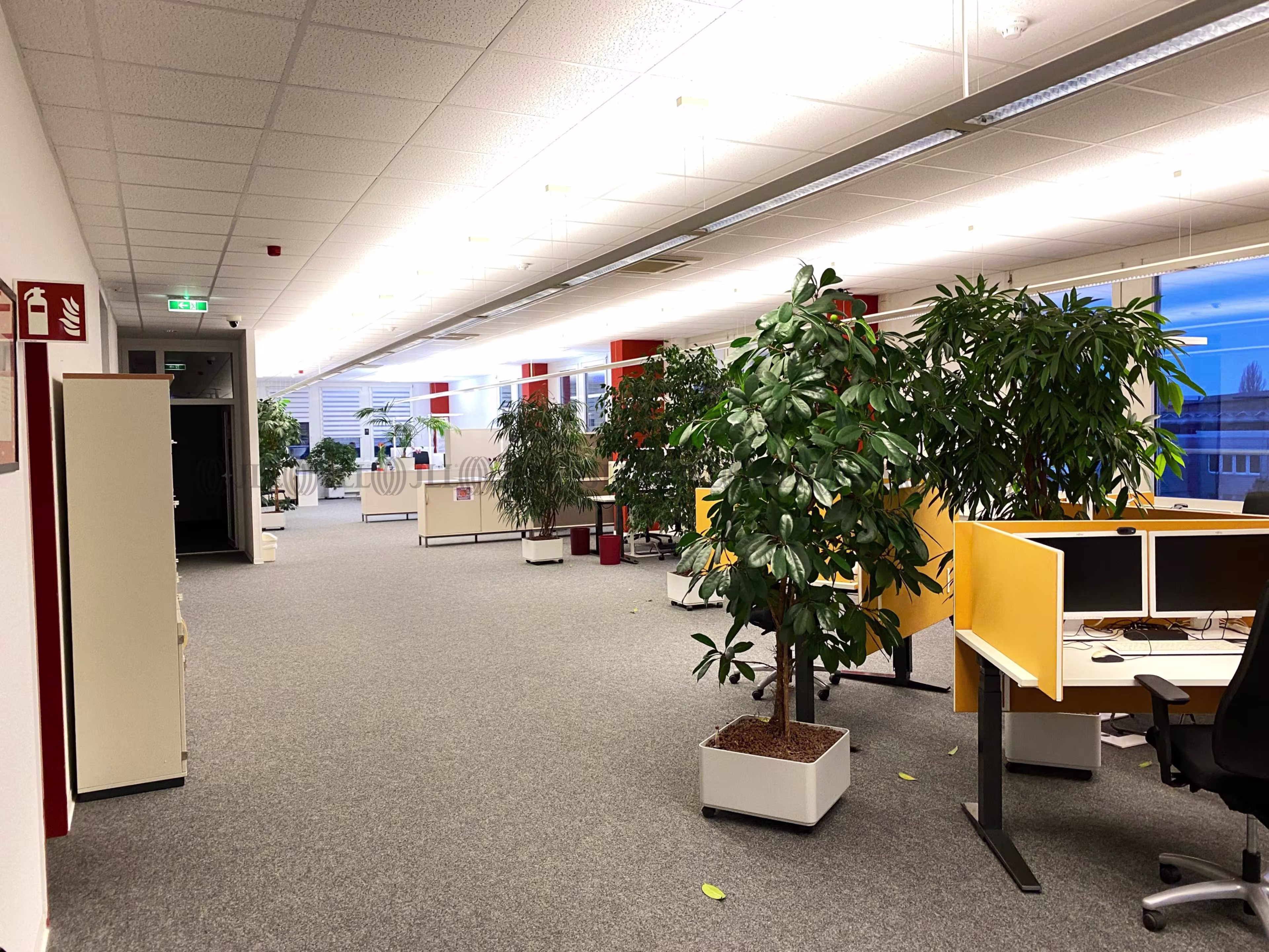 Büroimmobilie - Potsdam, Babelsberg - B3036