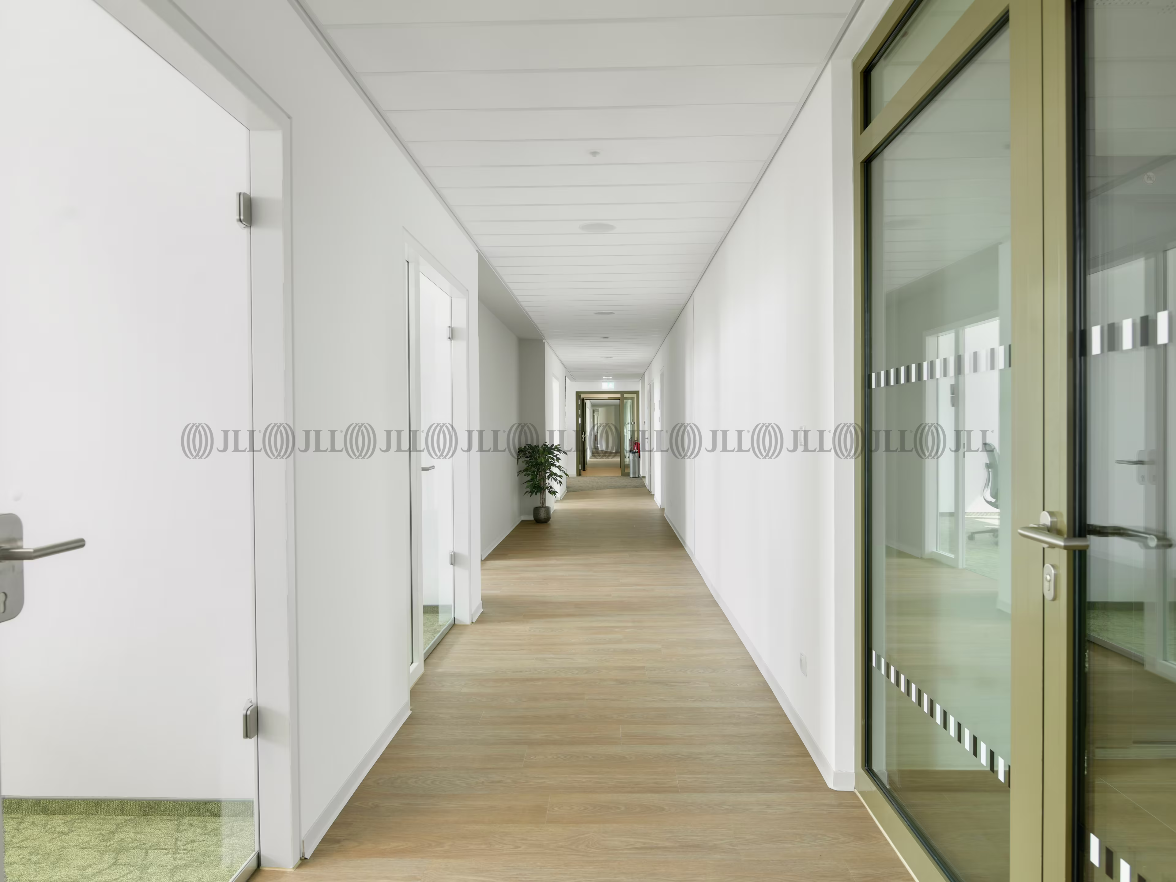 Büroimmobilie - Bonn, Hochkreuz - K1668
