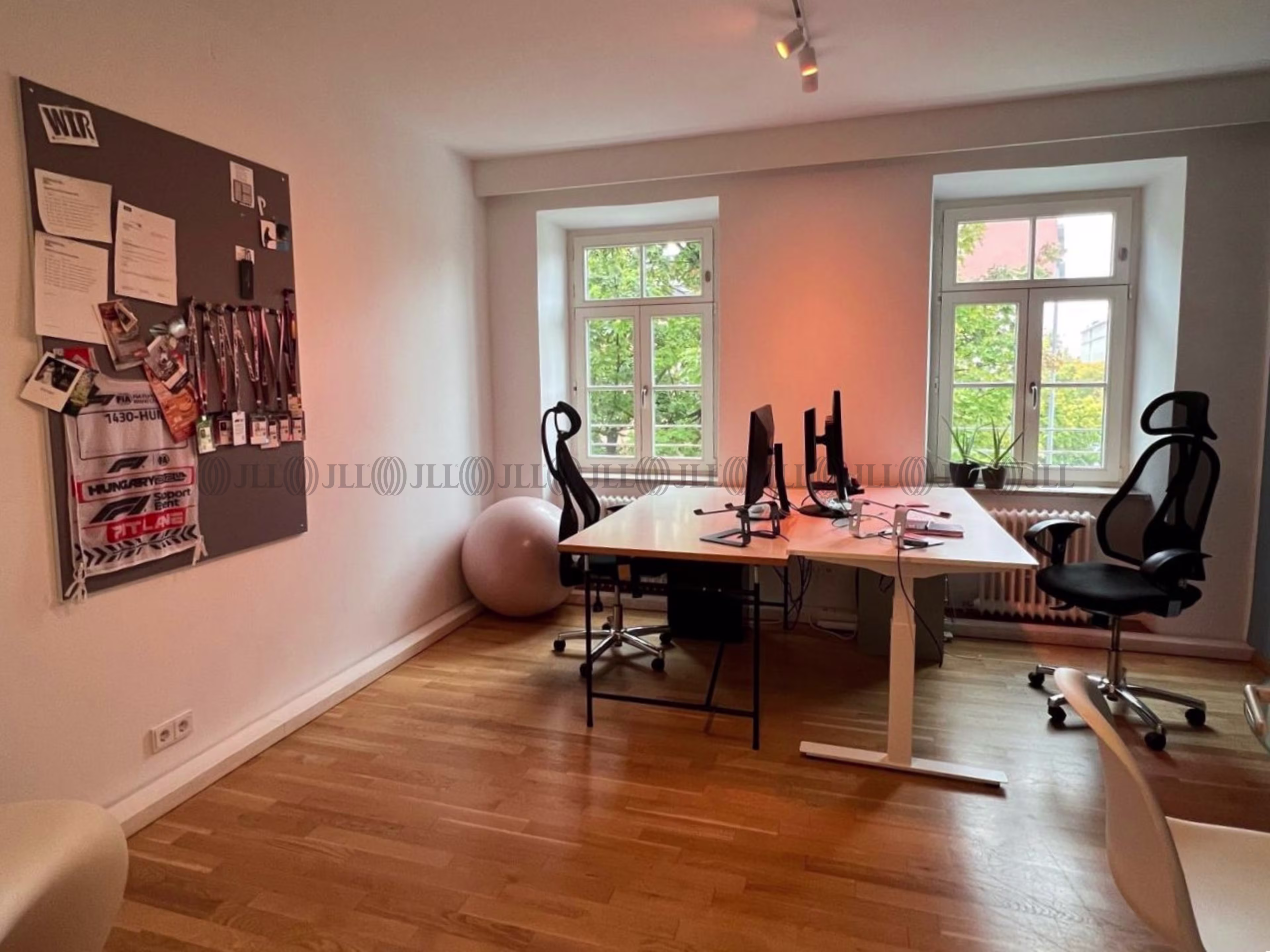 Büroimmobilie - München, Maxvorstadt - M2166