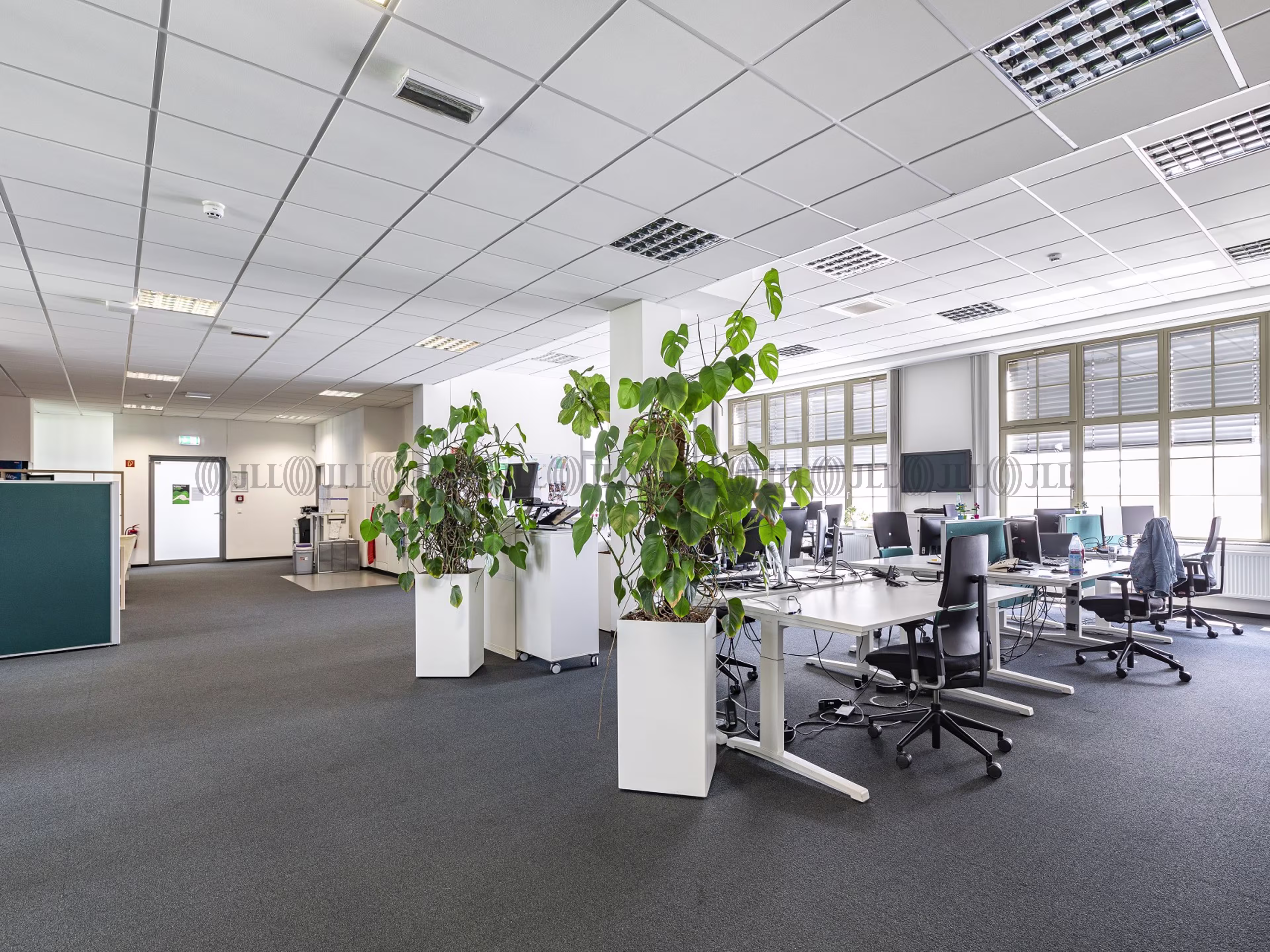 Büroimmobilie - Leipzig, Plagwitz - B2694