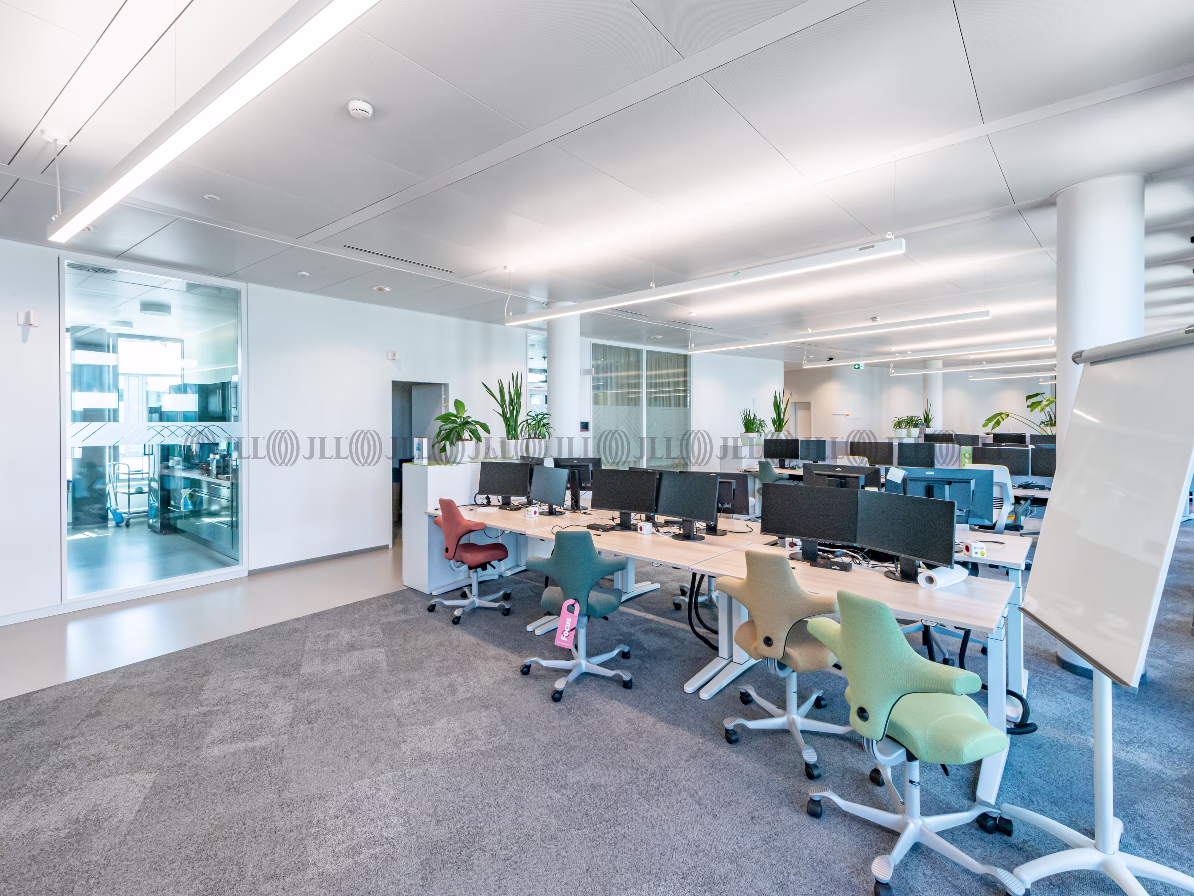 Büroimmobilie - Düsseldorf, Hafen - D3377