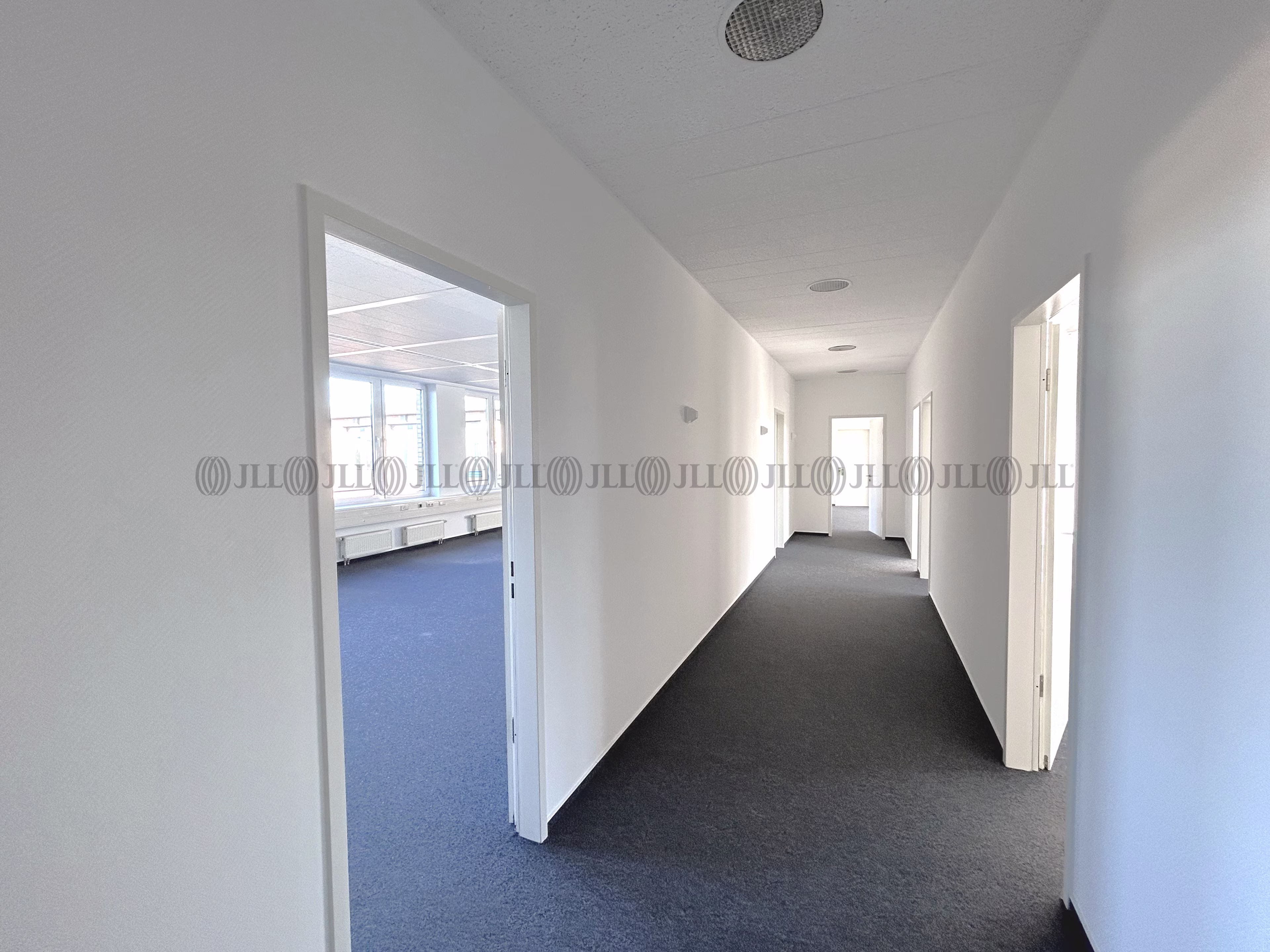 Büroimmobilie - Hamburg, Langenhorn - H0011