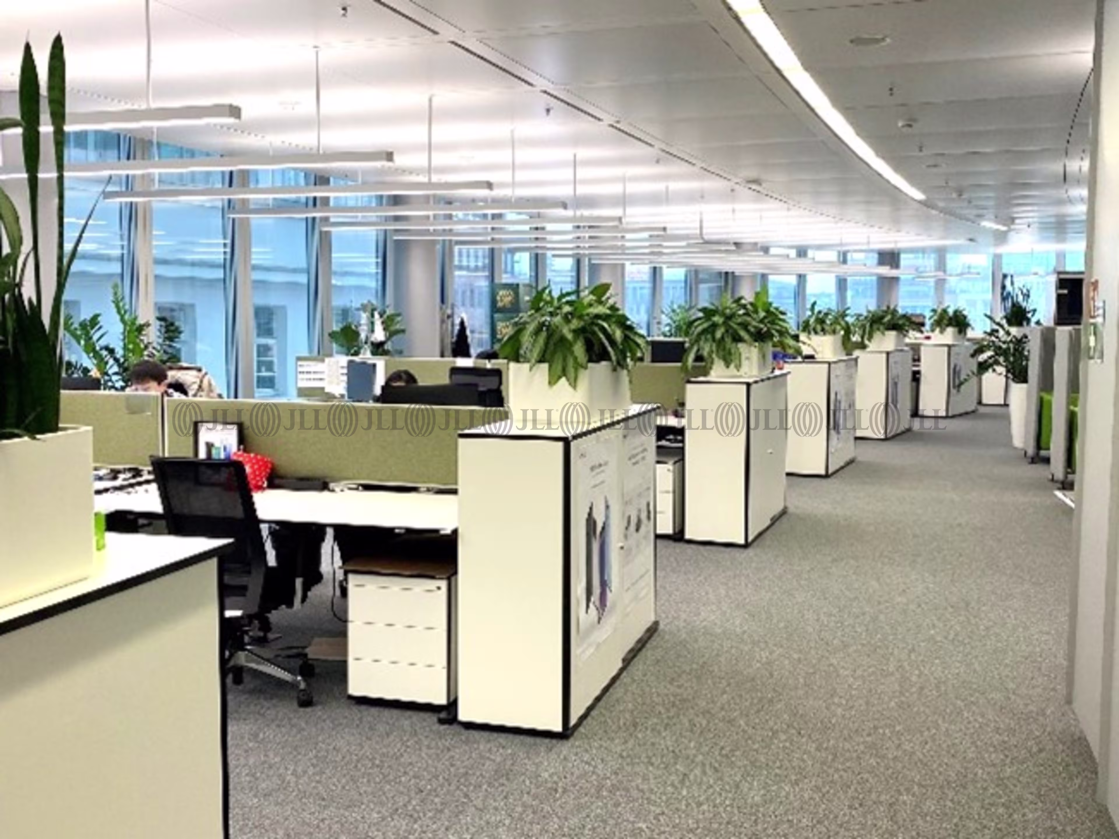 Büroimmobilie - Düsseldorf, Stadtmitte - D3378 Büroimmobilie - Düsseldorf, Stadtmitte - D3378