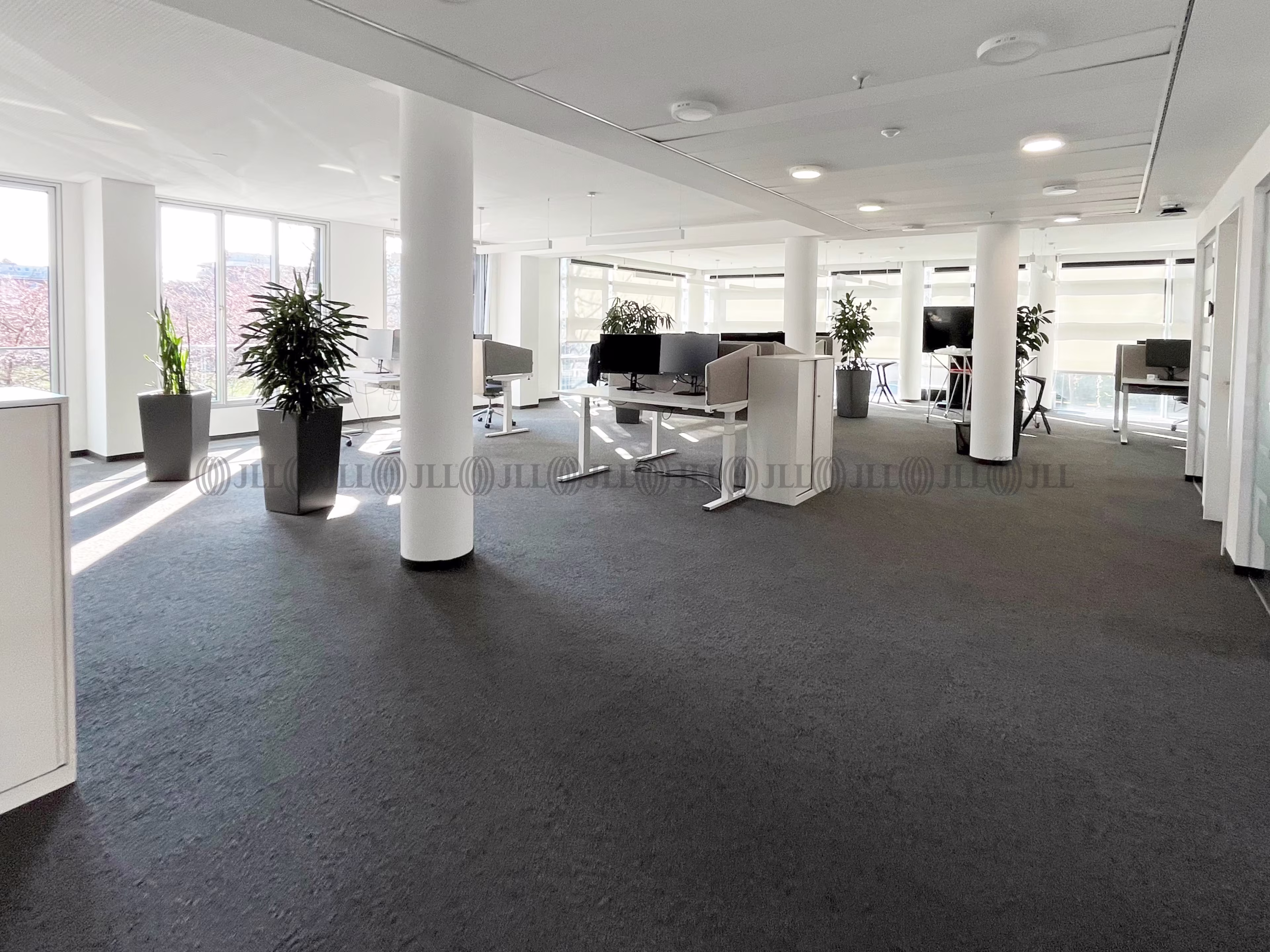 Büroimmobilie - Düsseldorf, Unterbilk - D3275