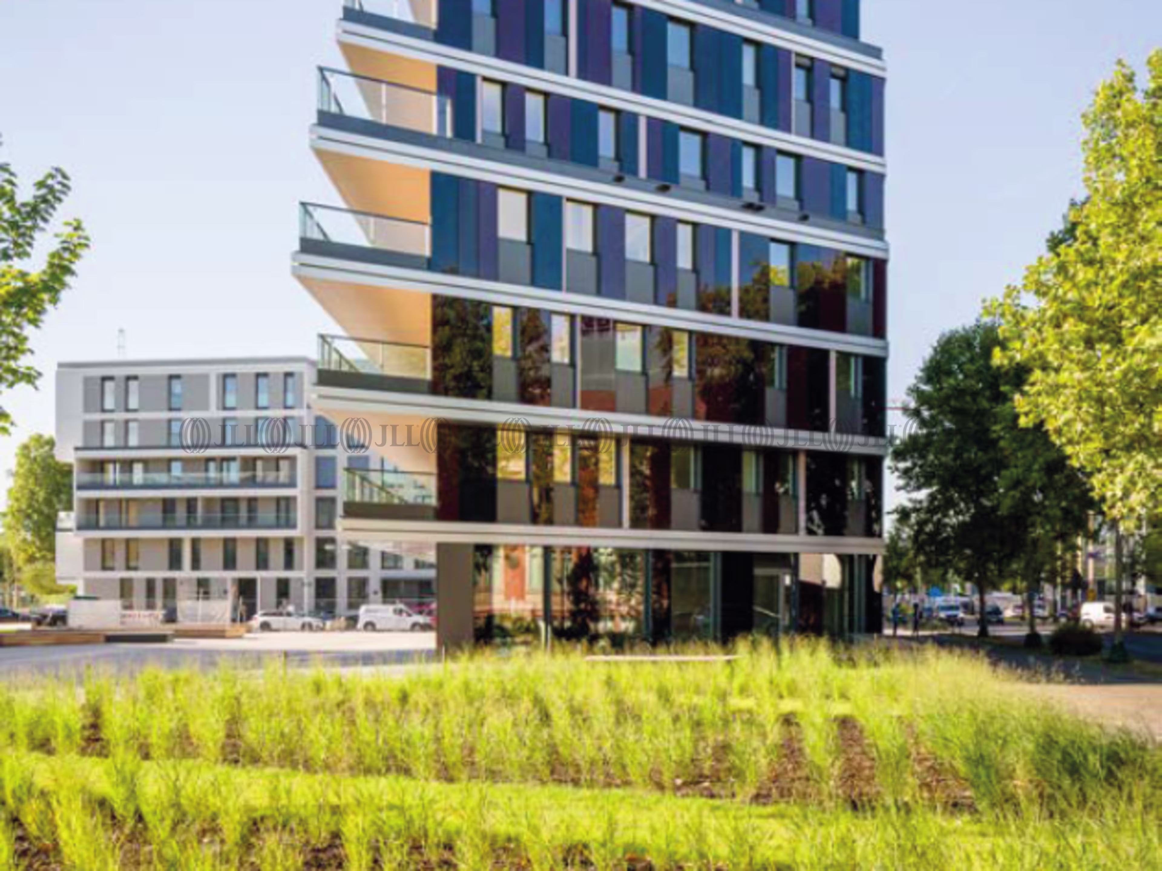 Büroimmobilie - Ludwigshafen am Rhein, Süd - F3221
