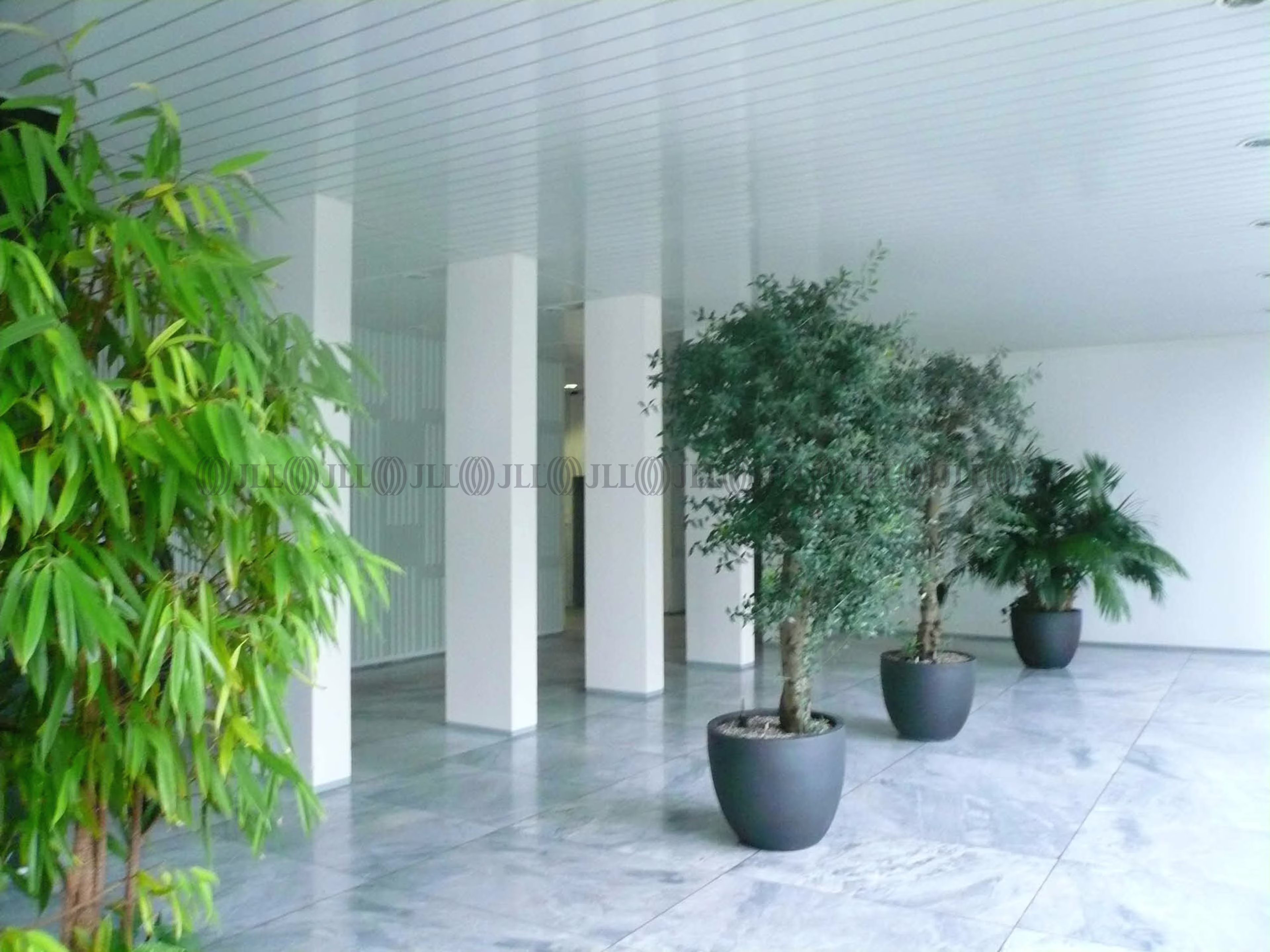 Büroimmobilie - Hamburg, Wandsbek - H0487