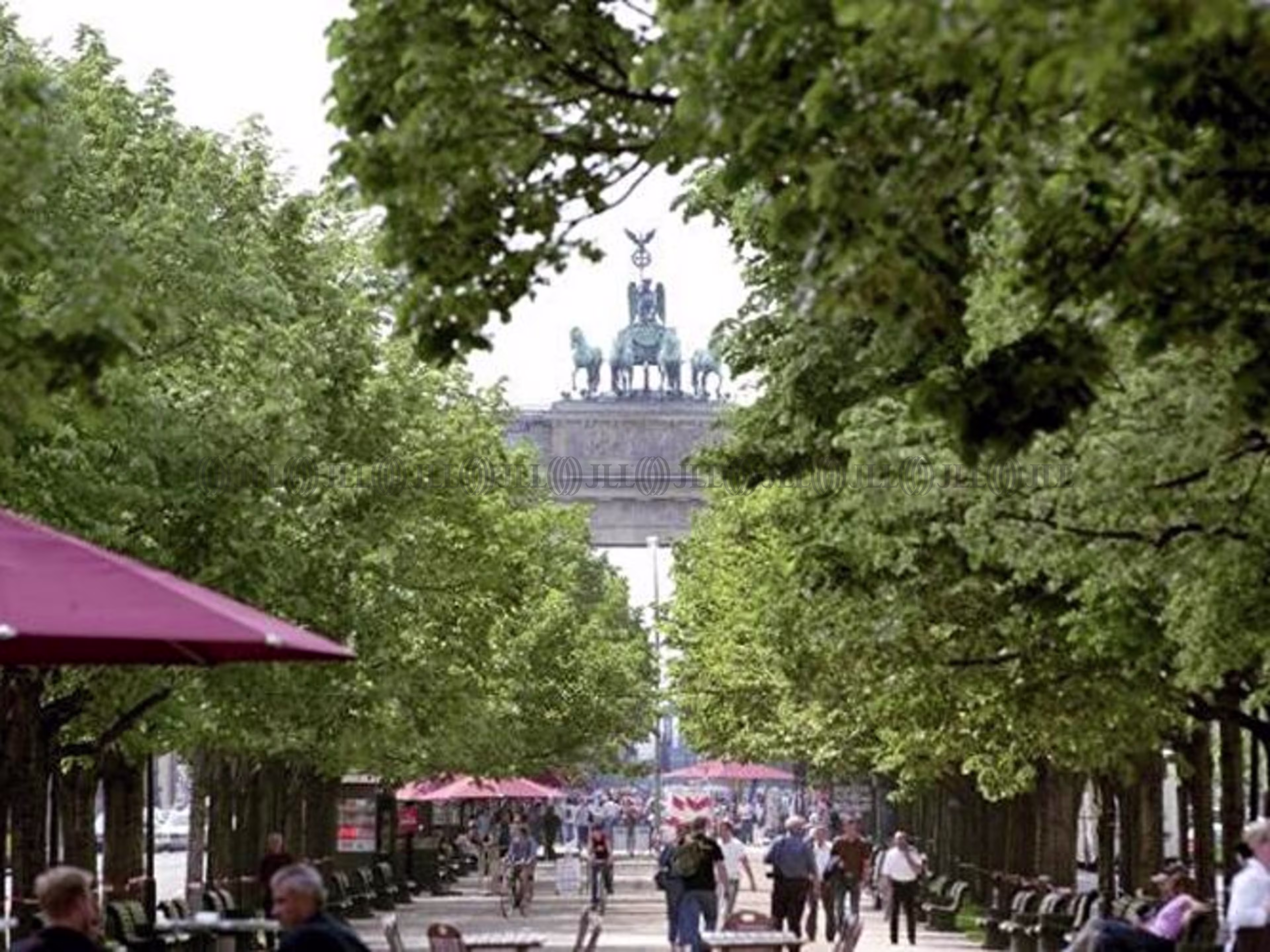 Einzelhandel - Berlin, Mitte - E1335 Einzelhandel - Berlin, Mitte - E1335