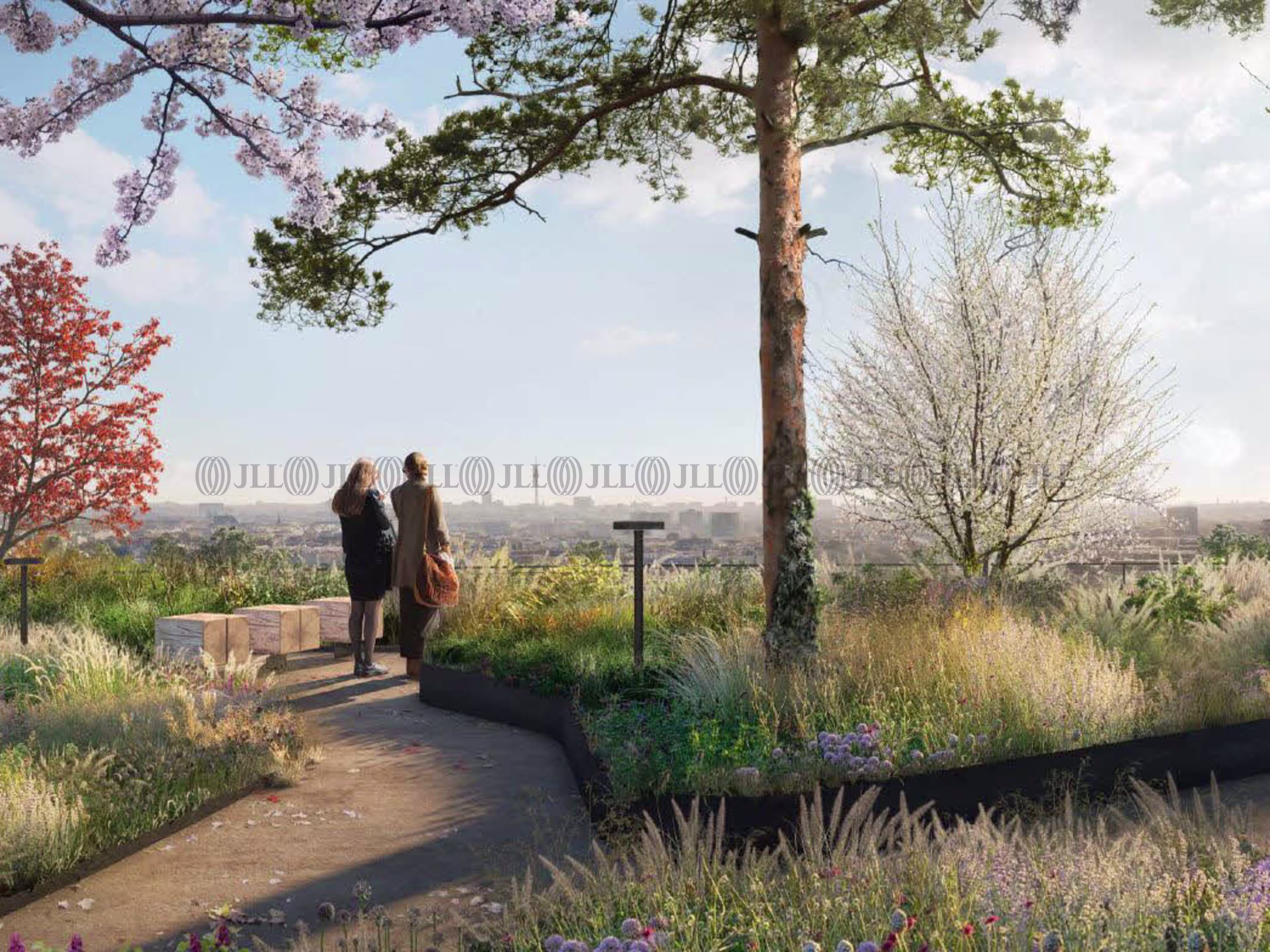 Büroimmobilie - Berlin, Charlottenburg - B3011