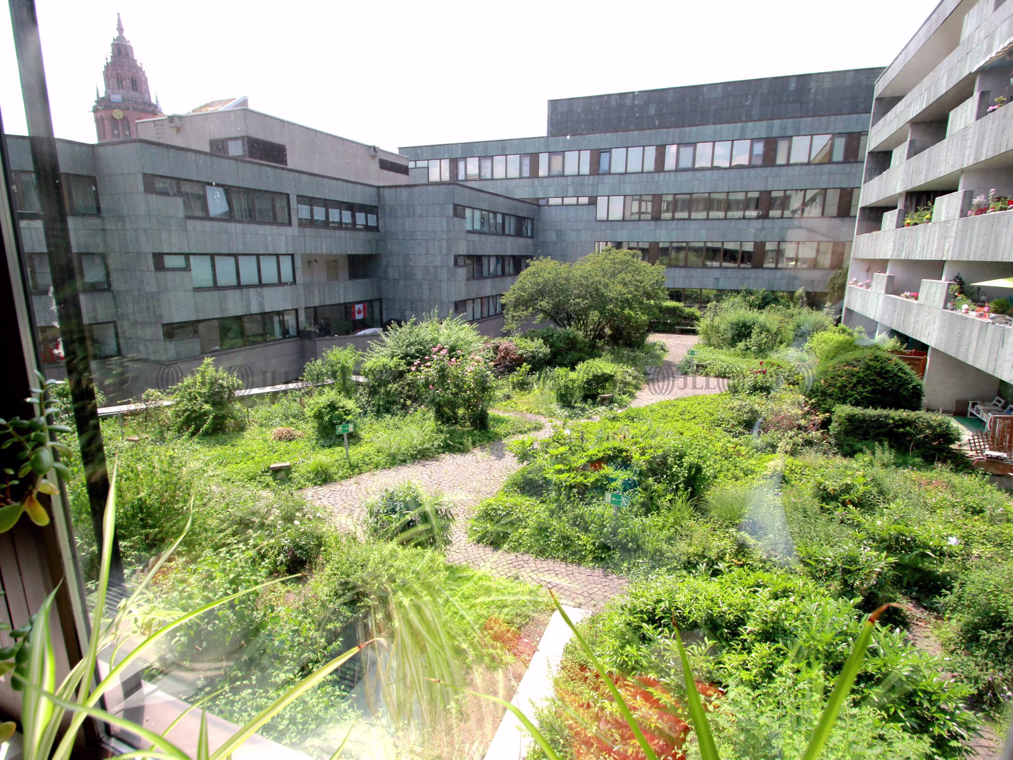 Büroimmobilie - Mainz, Altstadt - F2238