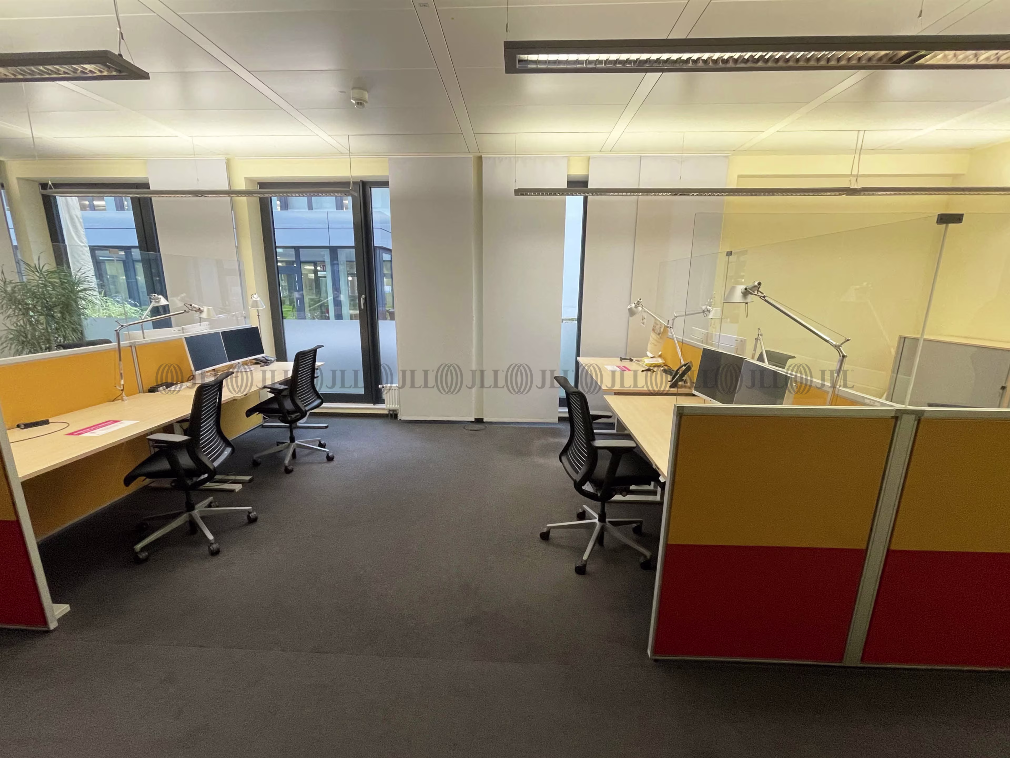Büroimmobilie - Ludwigshafen am Rhein, Süd - F2956