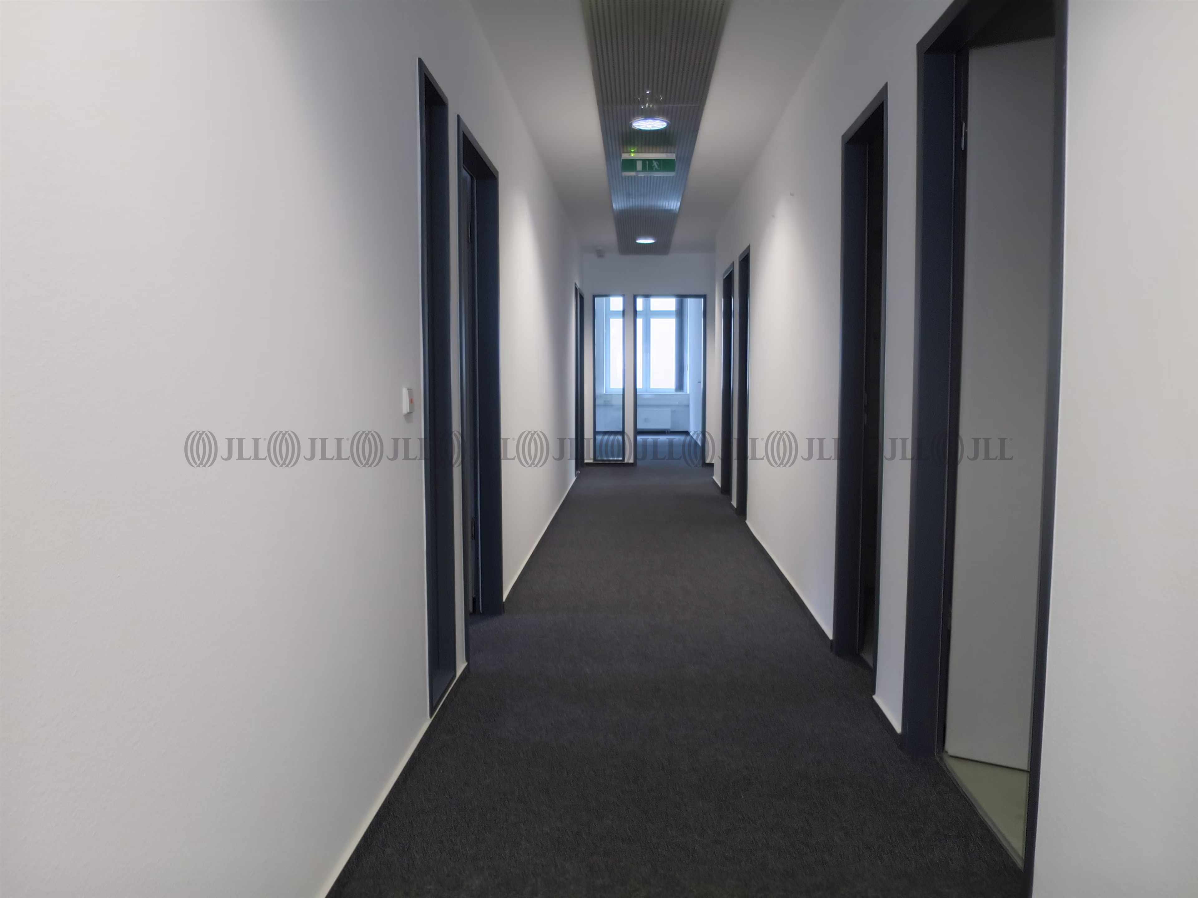 Büroimmobilie - Ludwigshafen am Rhein, Süd - F1994