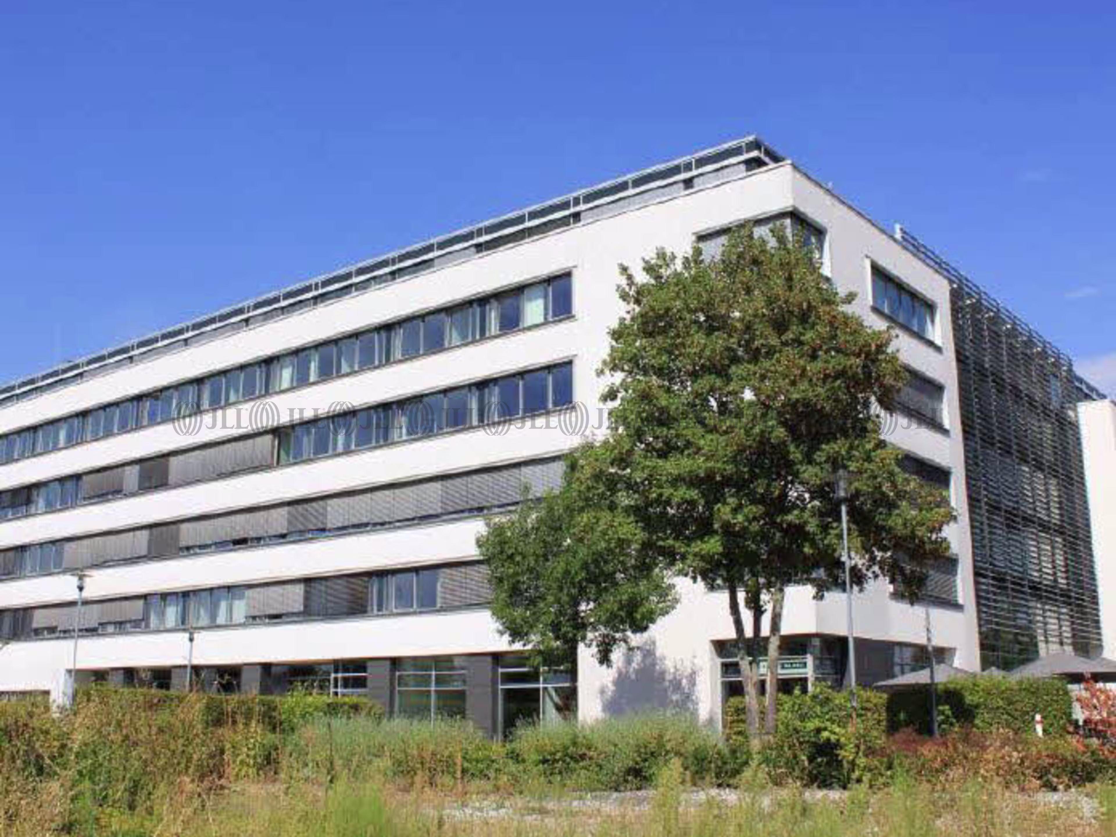 Büroimmobilie - Eschborn - F1327