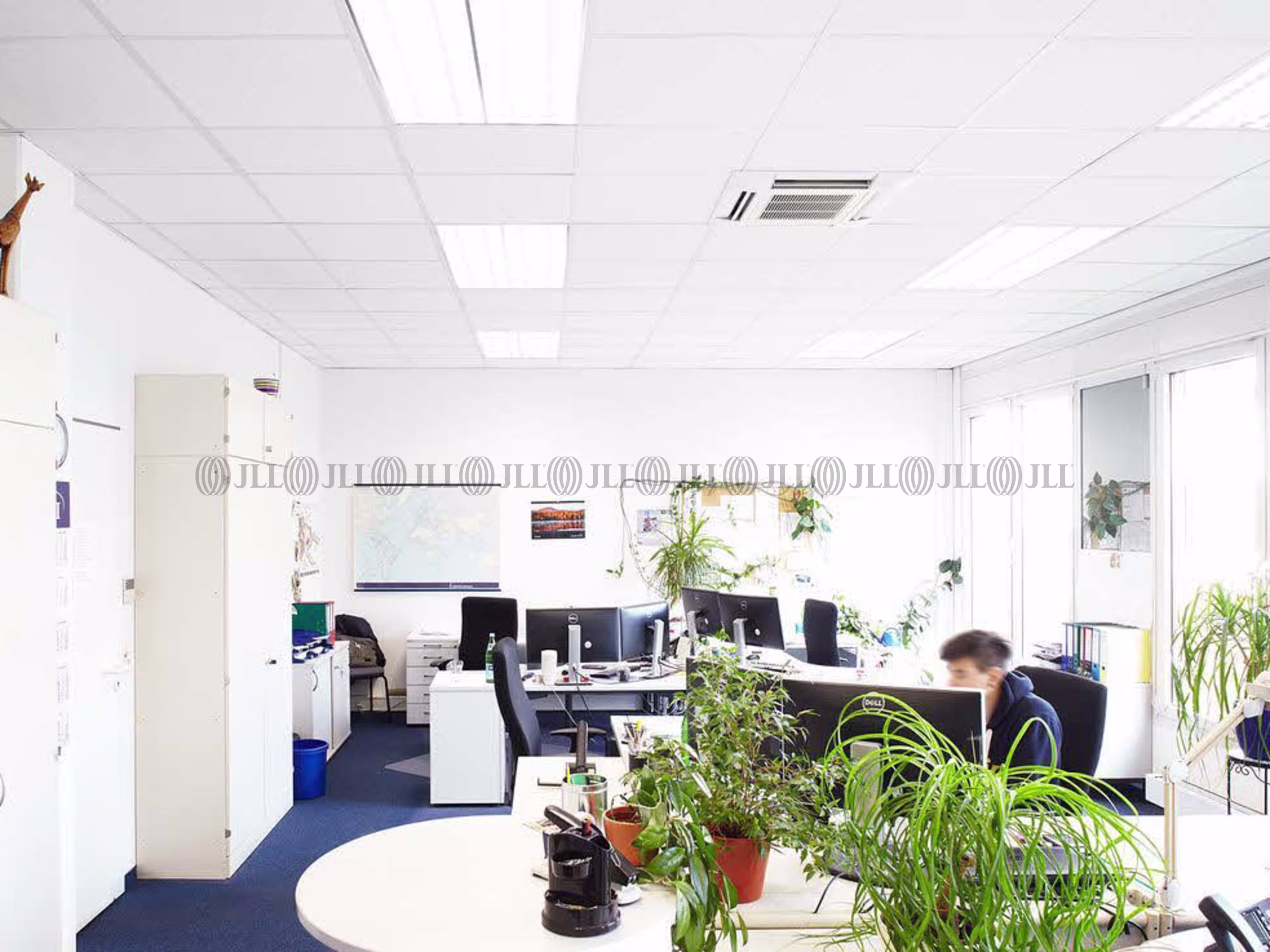Büroimmobilie - Wiesbaden, Biebrich - F0331