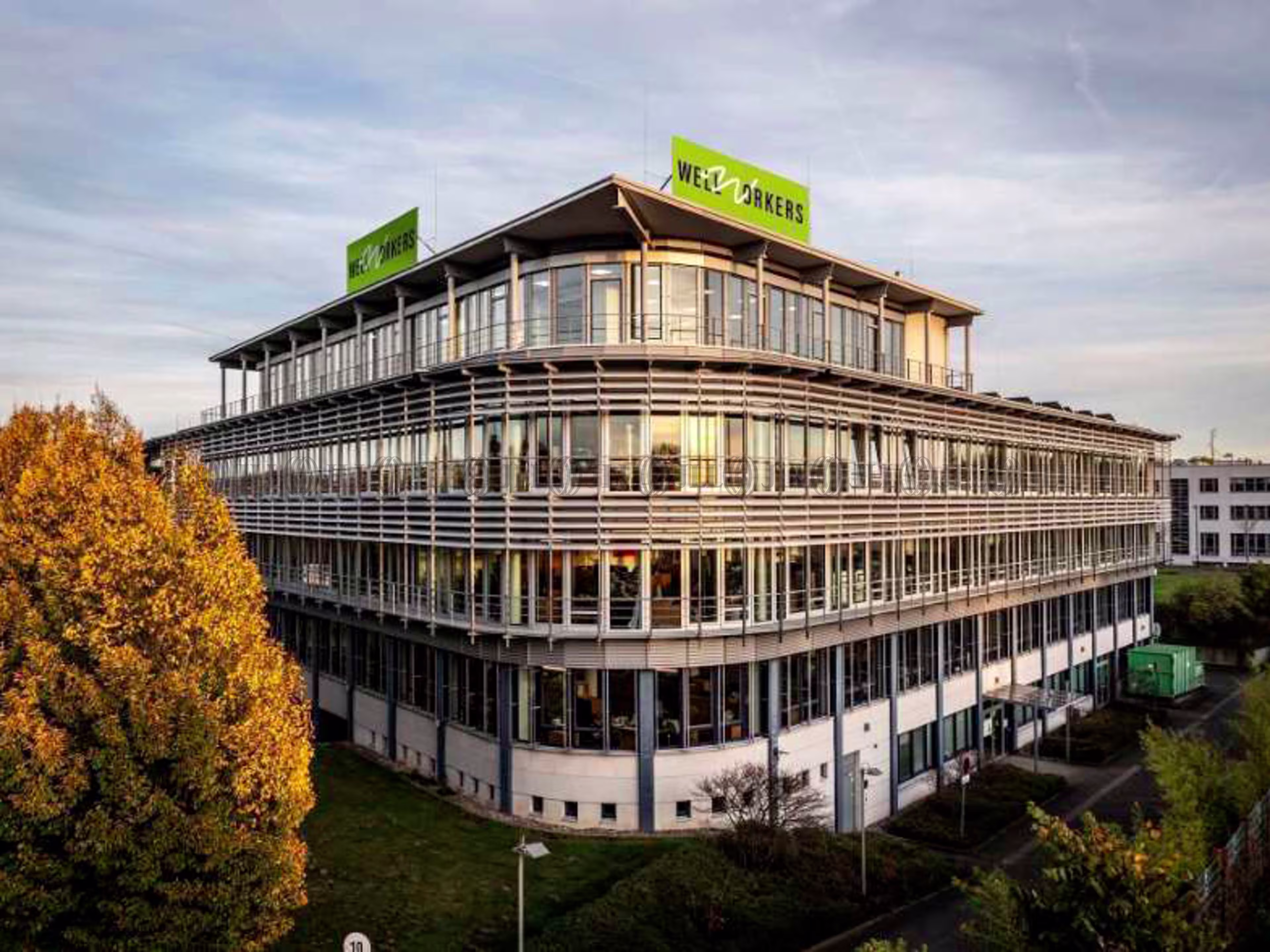 Büroimmobilie - Meerbusch - D3313