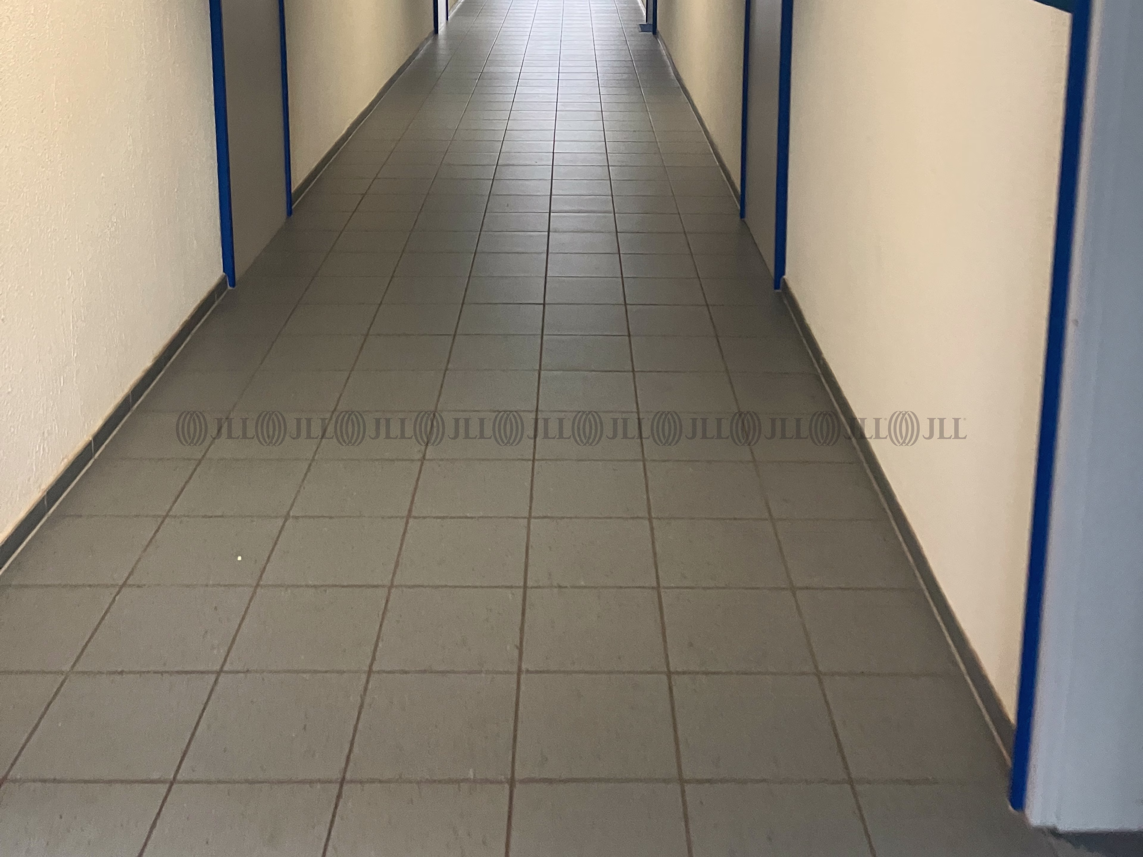 Hallen - Kalbe - B3385