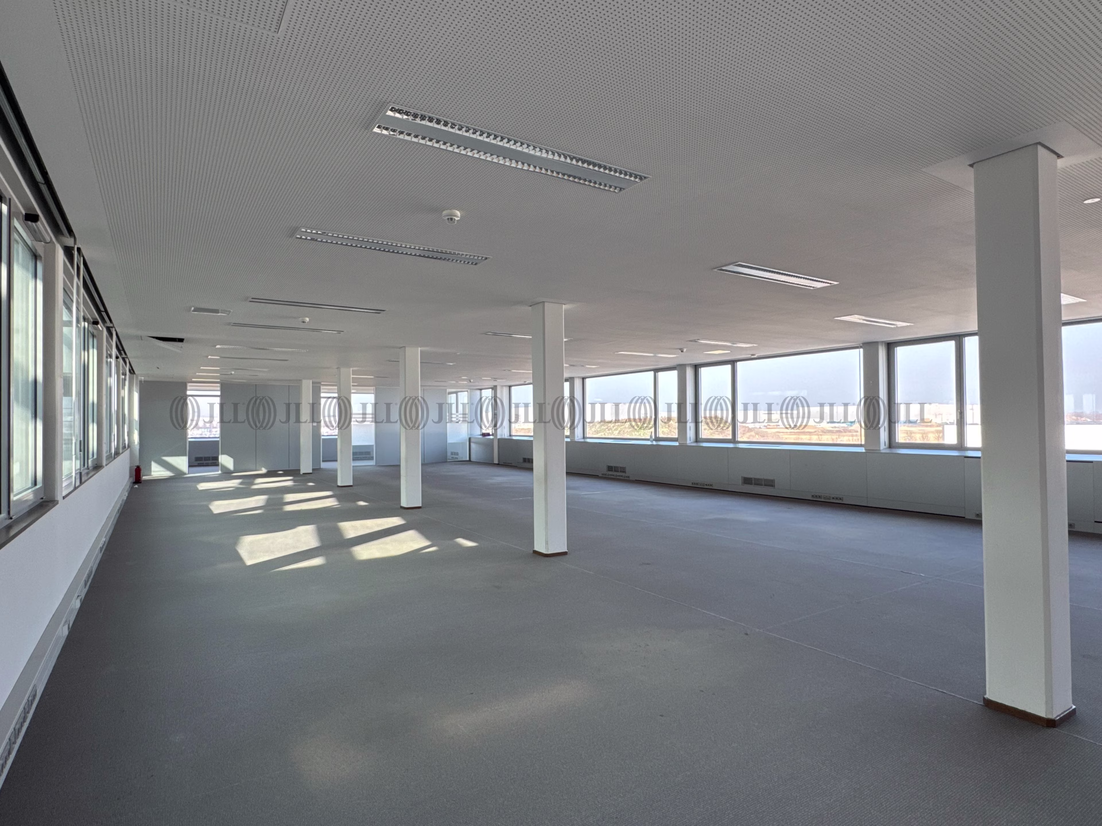 Hallen - Leipzig, Plaußig-Portitz - B1273