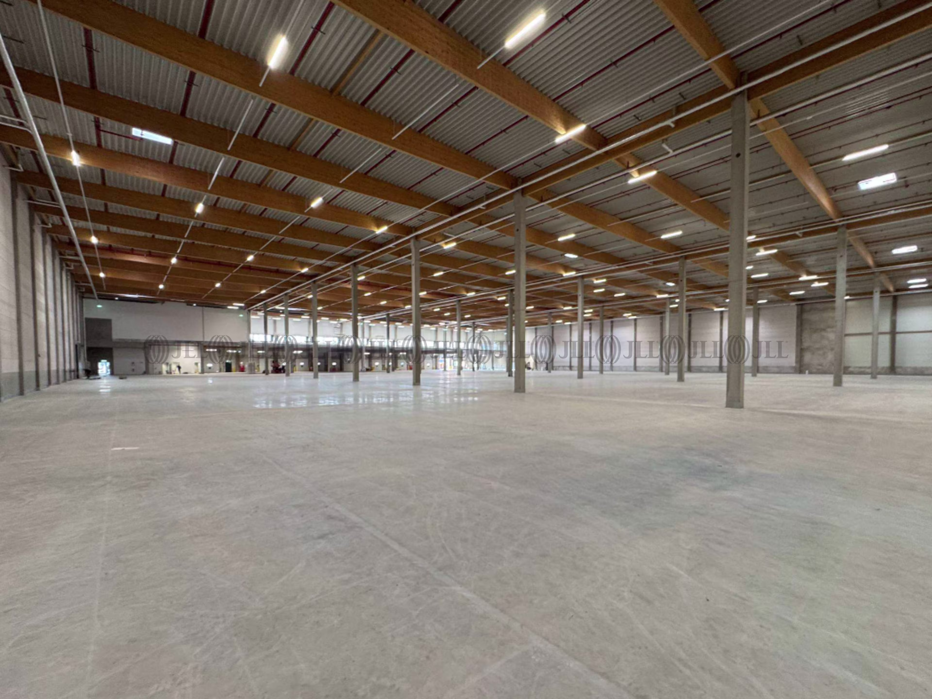 Hallen - Spreenhagen - B3054