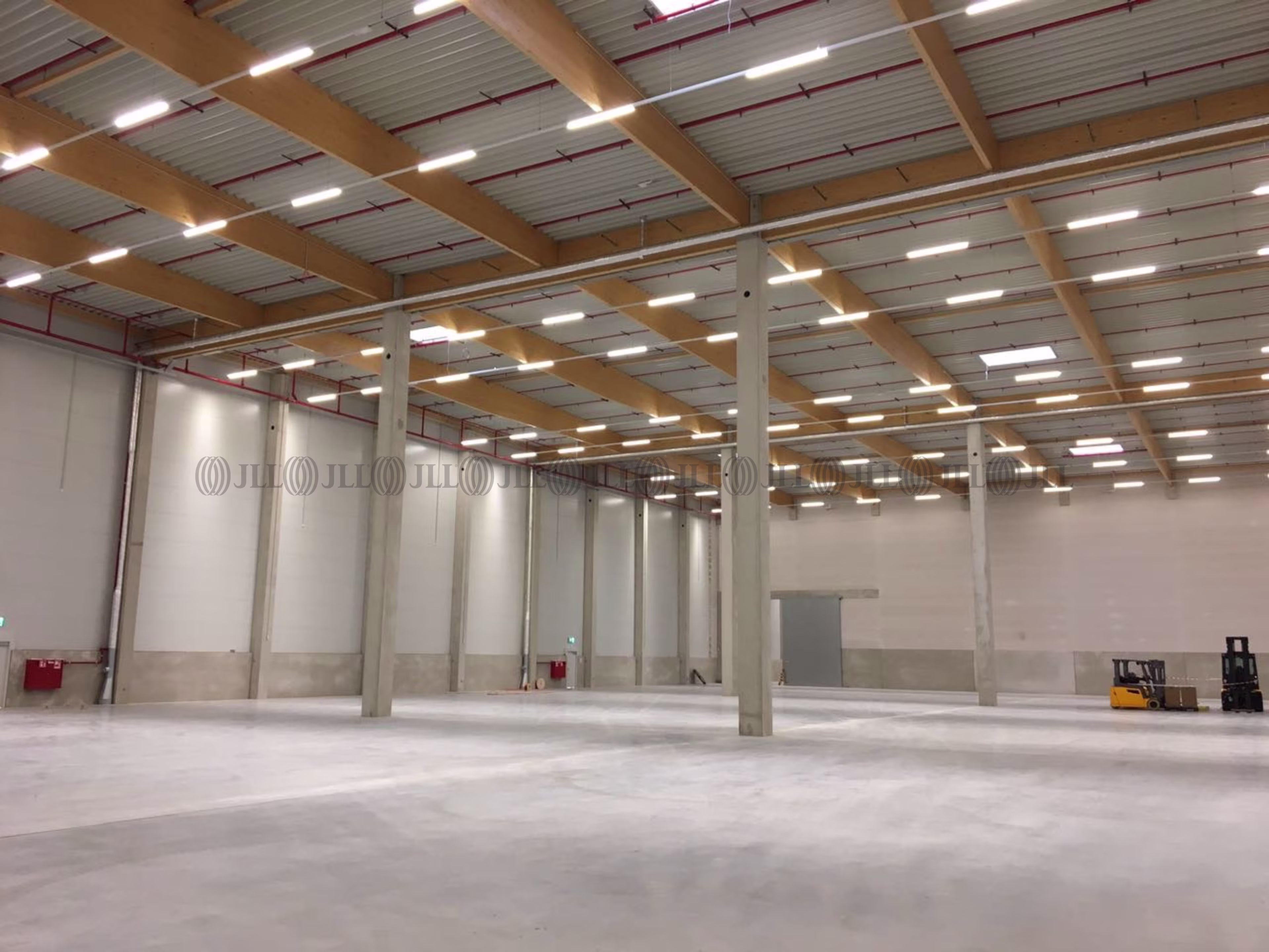 Hallen - Düsseldorf - D3204
