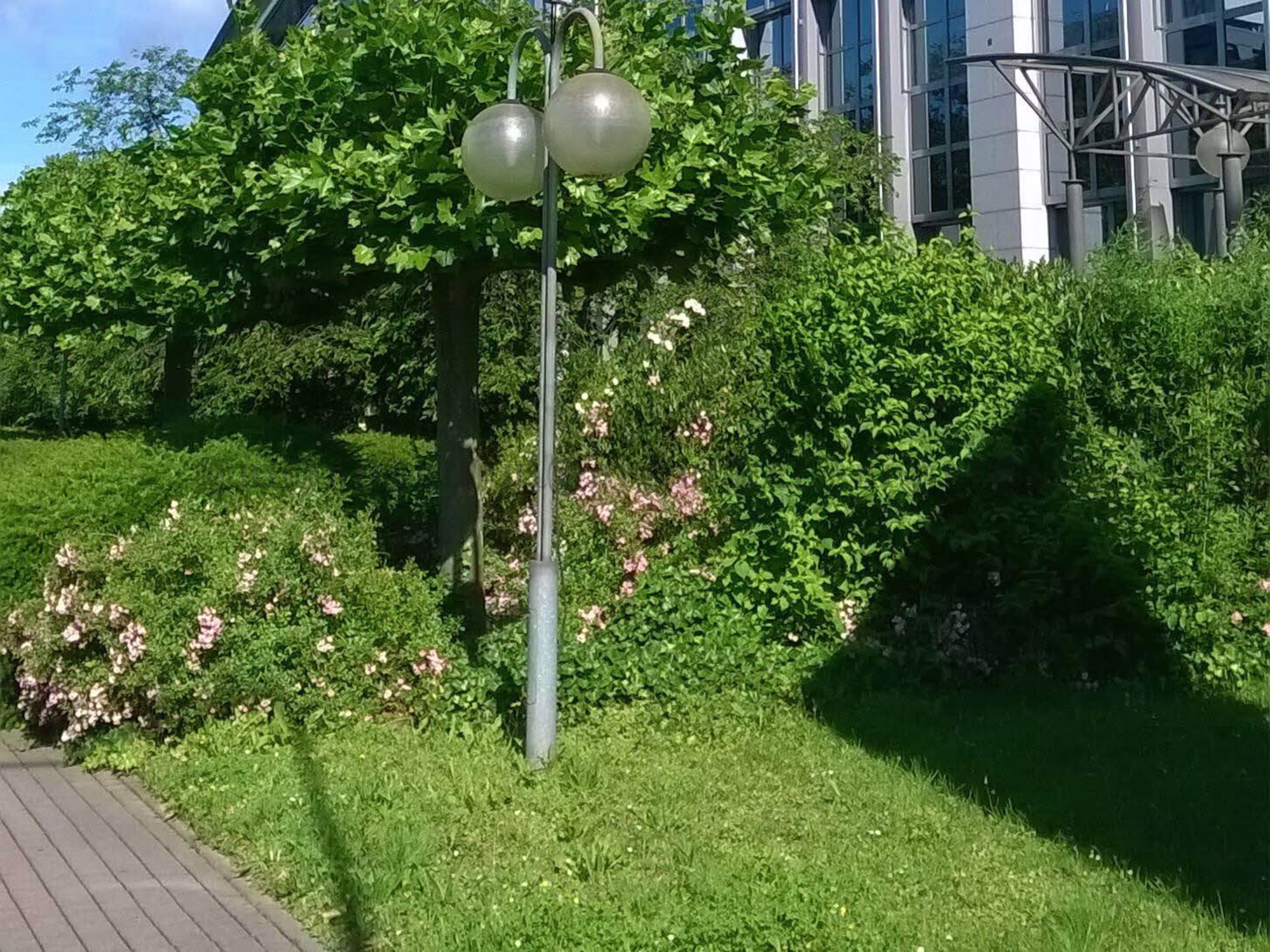 Büroimmobilie - Wiesbaden, Biebrich - F0331