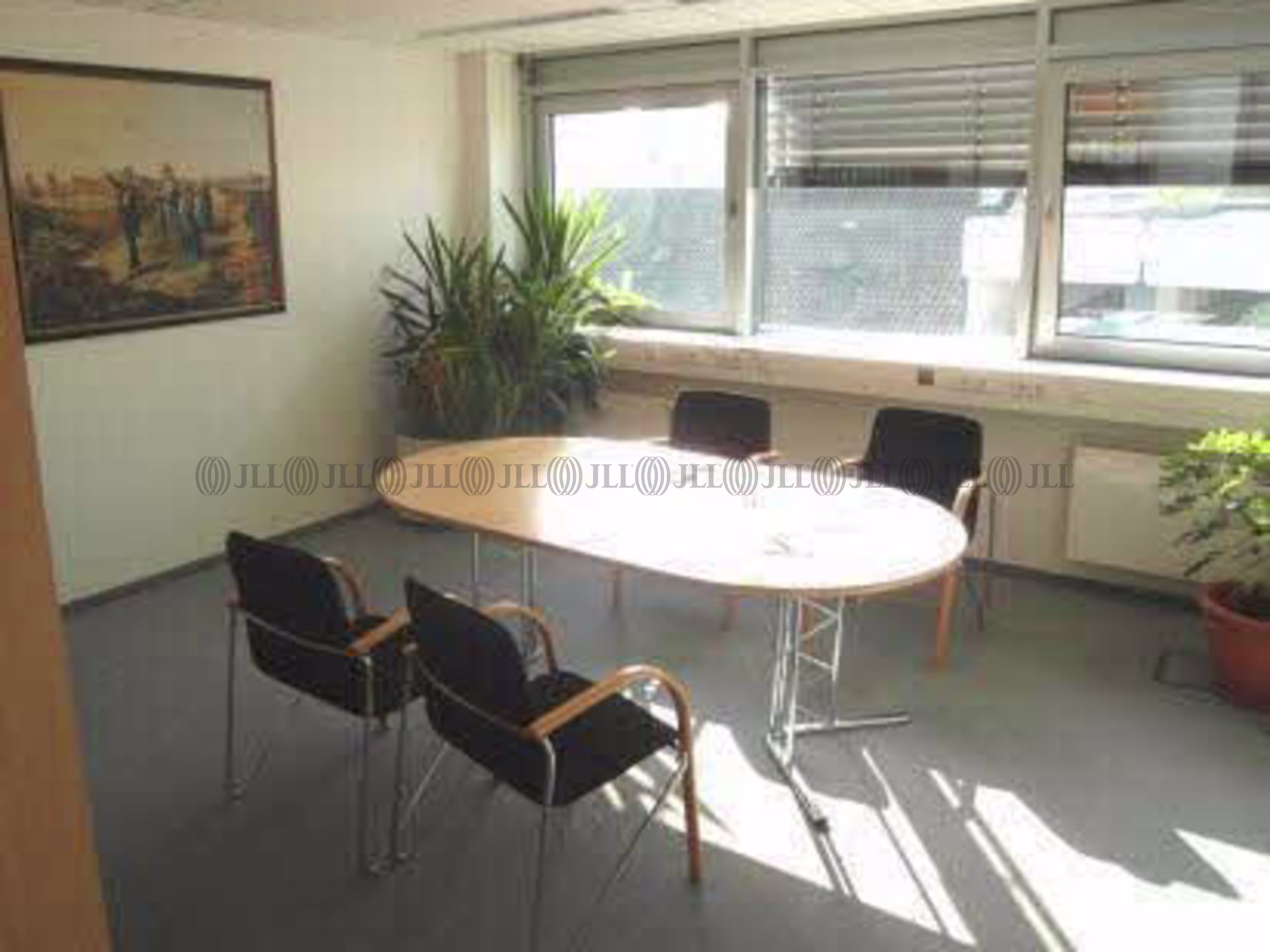 Büroimmobilie - Ludwigshafen am Rhein, Mitte - F1800