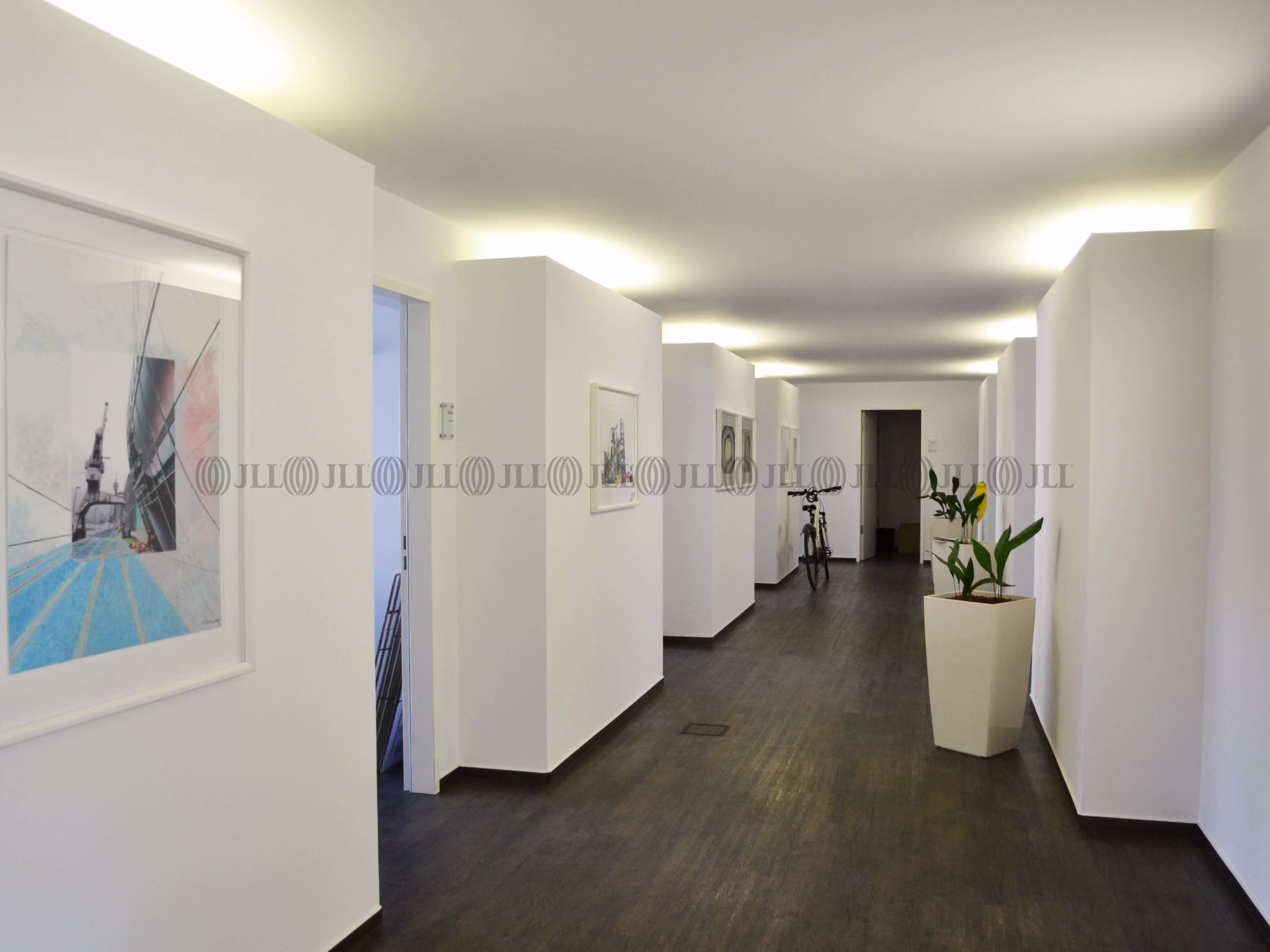 Büroimmobilie - Düsseldorf, Friedrichstadt - D1389