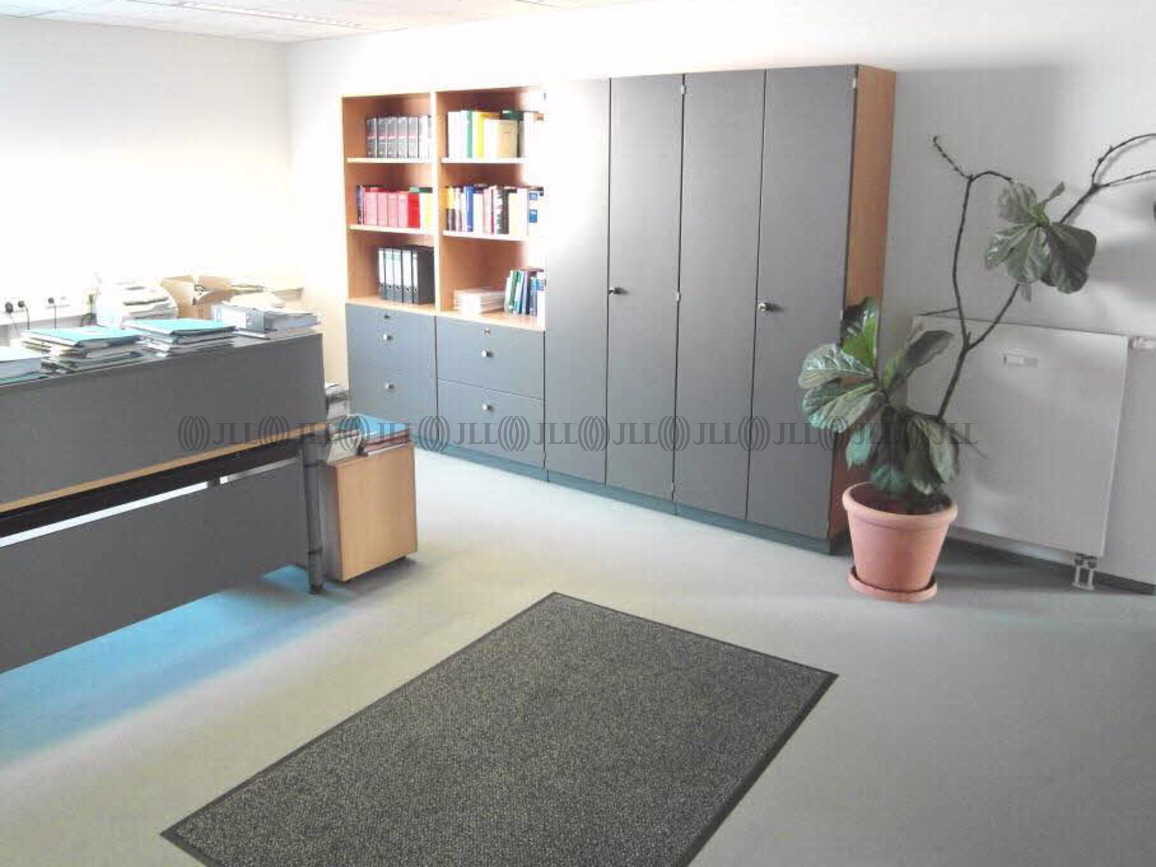 Büroimmobilie - Ludwigshafen am Rhein, Mitte - F1800