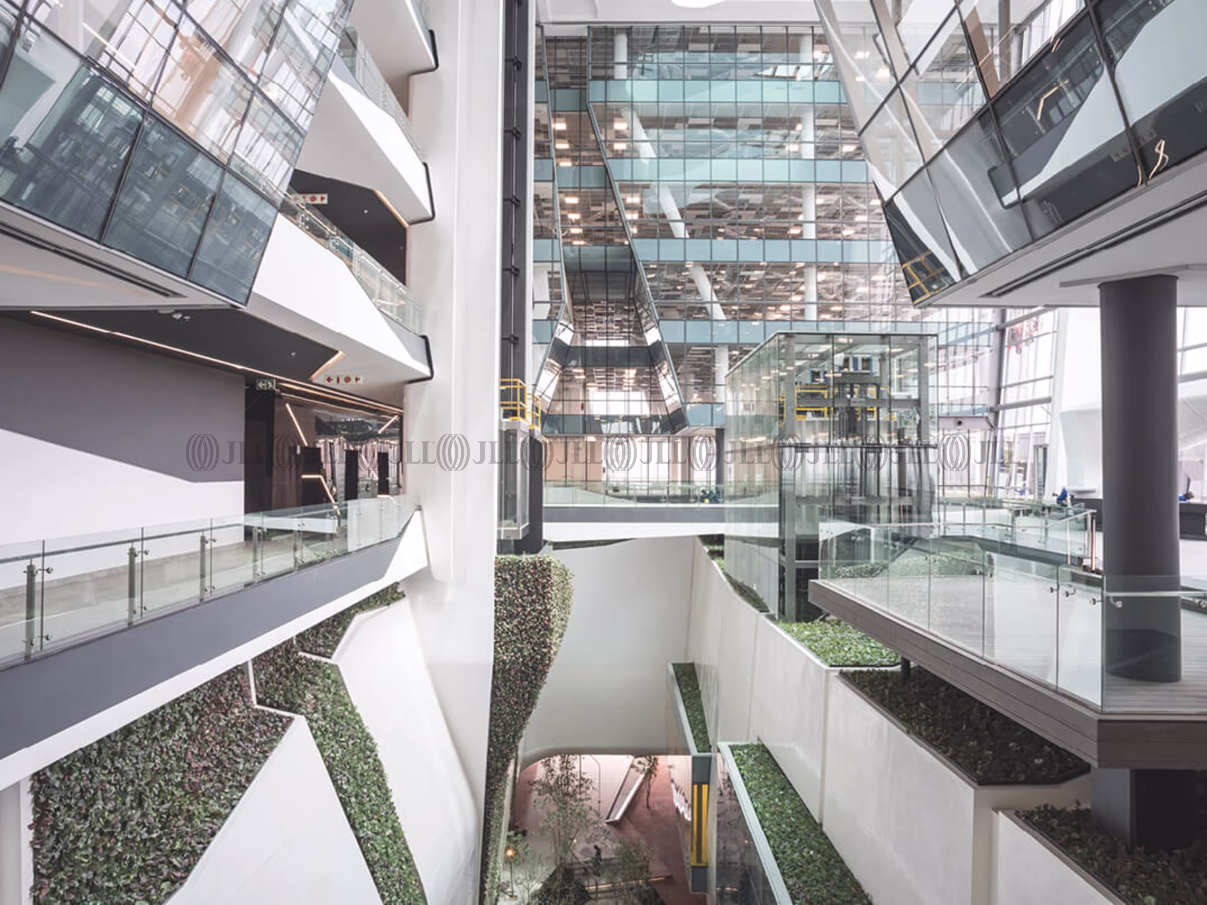 Rosebank Link