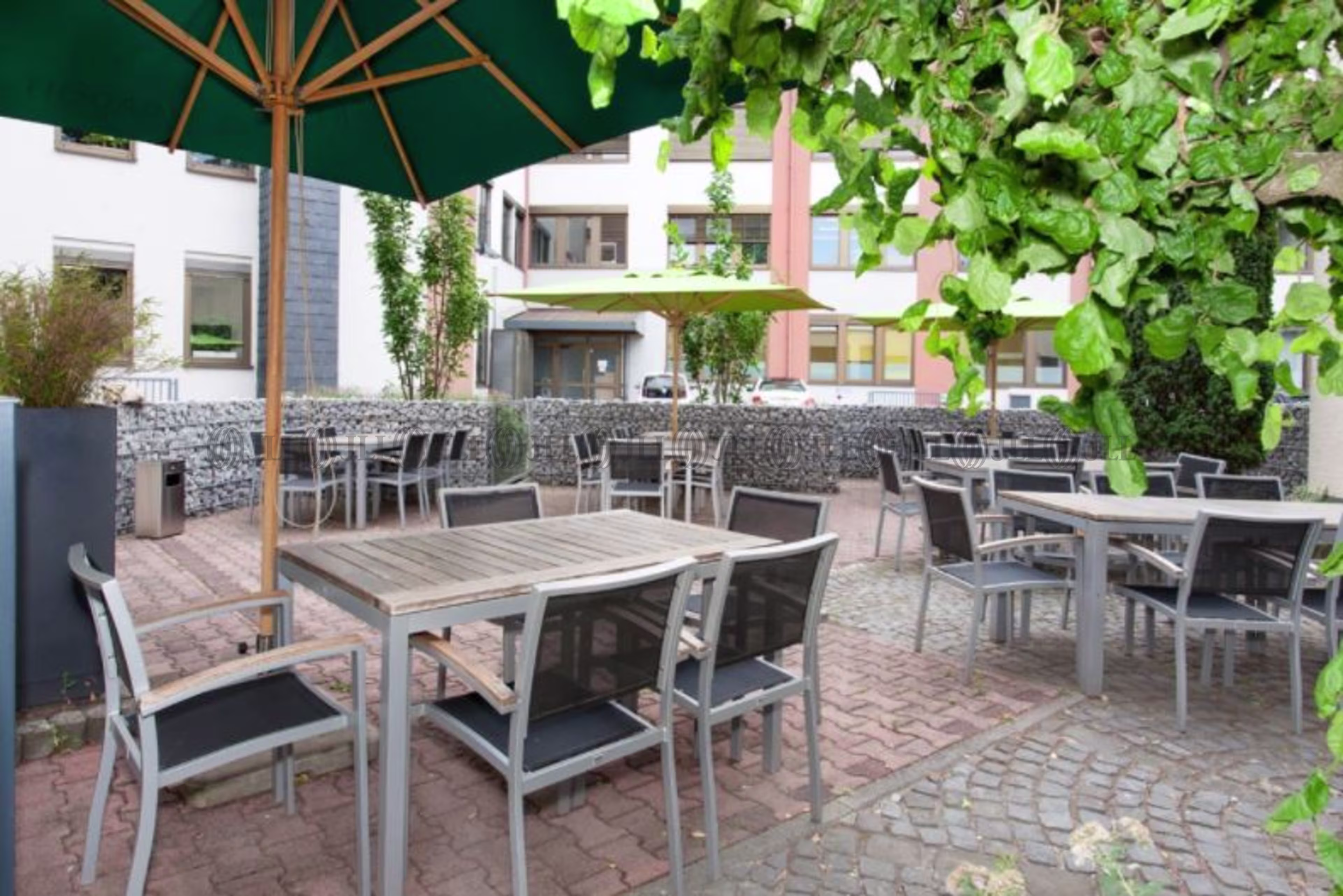 Büroimmobilie - Frankfurt am Main, Rödelheim - F0881