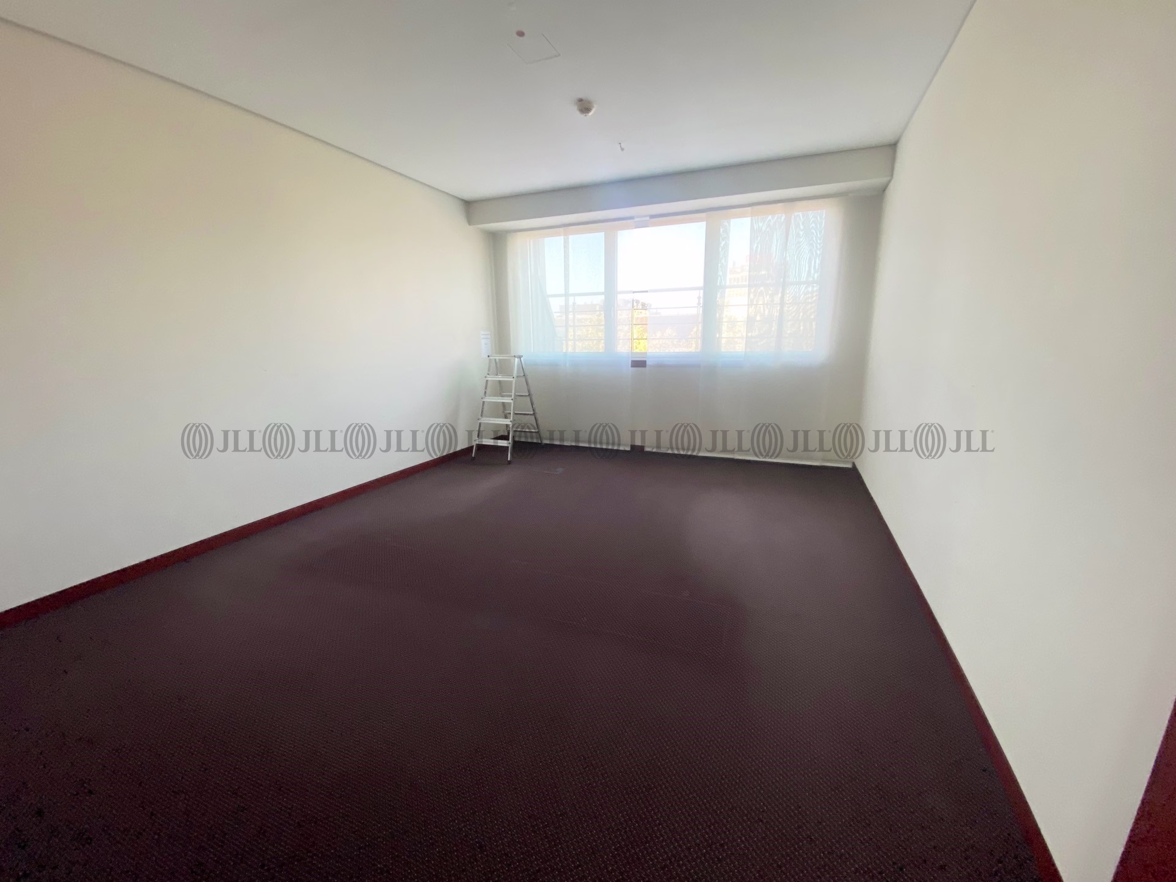 Büroimmobilie - Düsseldorf, Stadtmitte - D2263