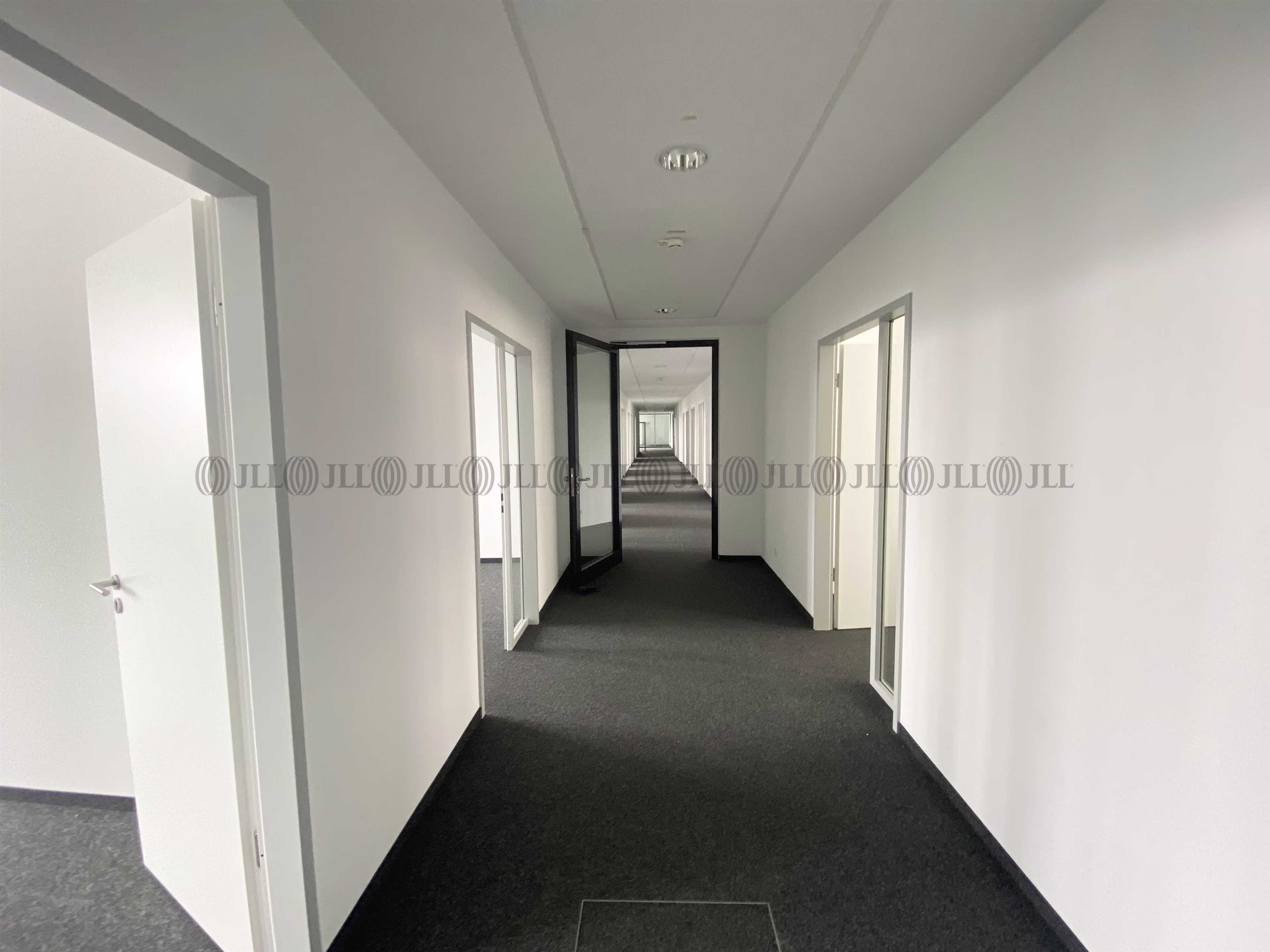 Büroimmobilie - Düsseldorf, Unterrath - D0909
