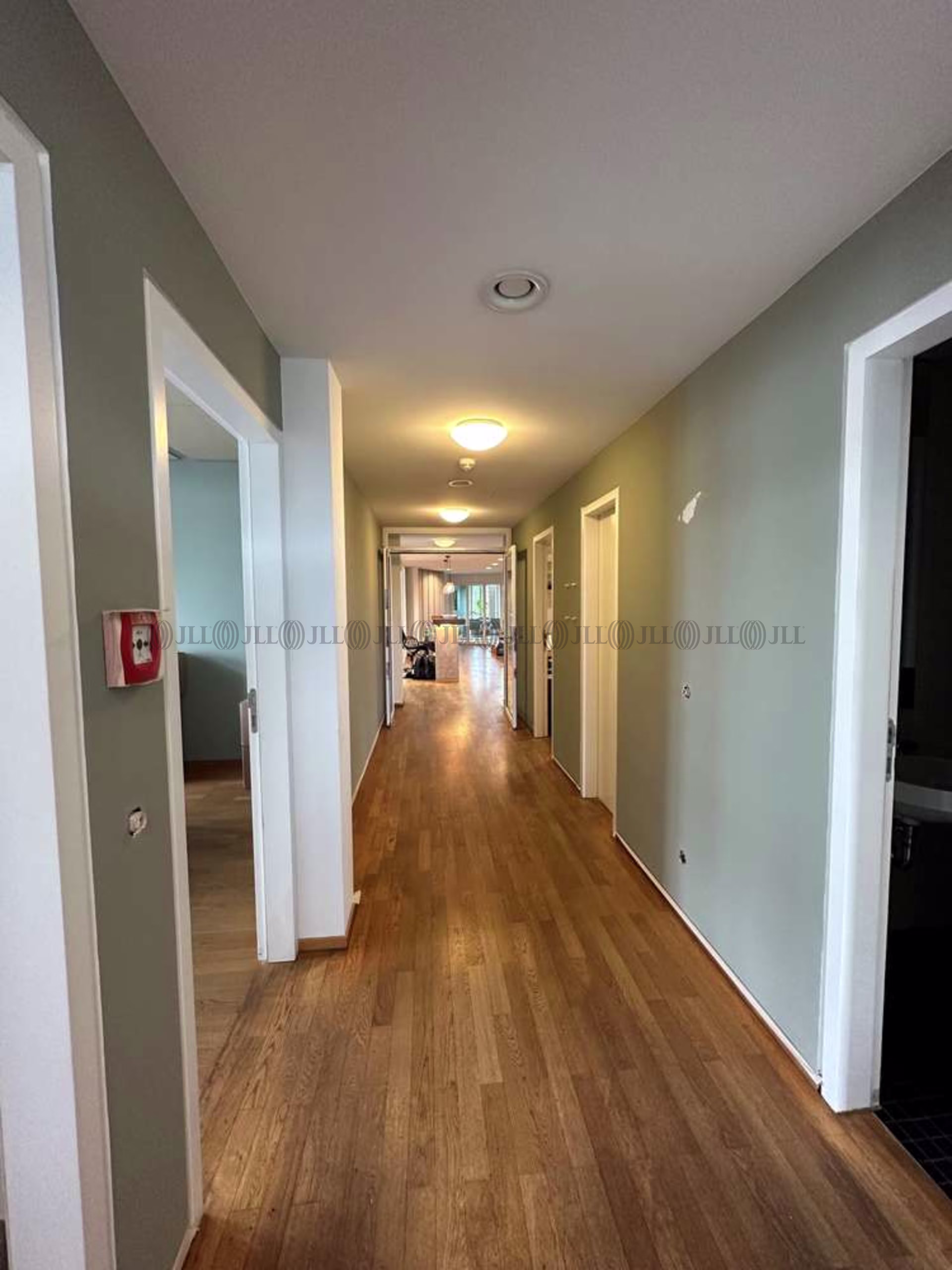 Büroimmobilie - München, Altstadt - M0529