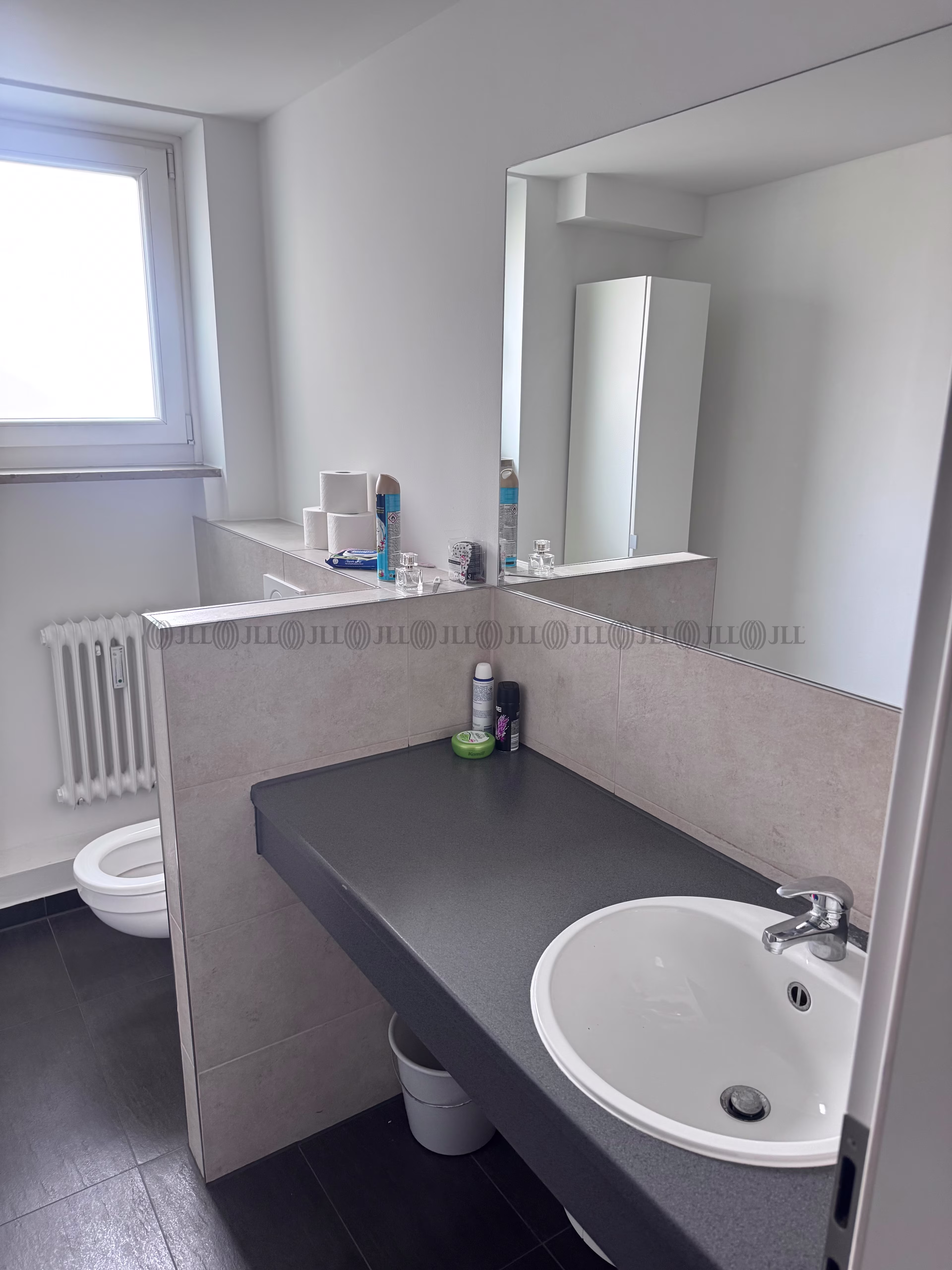 Büroimmobilie - München, Maxvorstadt - F2819