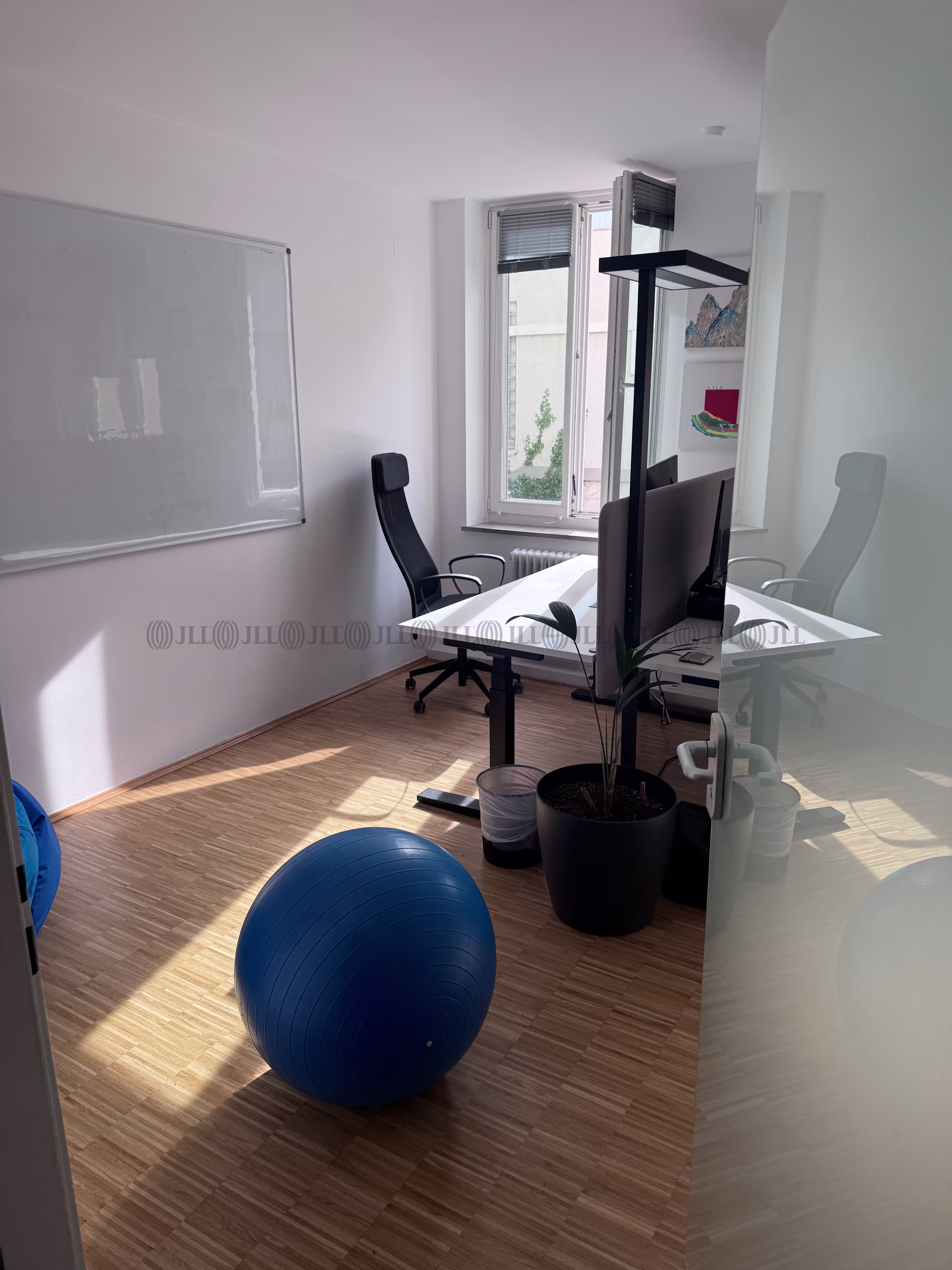Büroimmobilie - München, Maxvorstadt - F2819