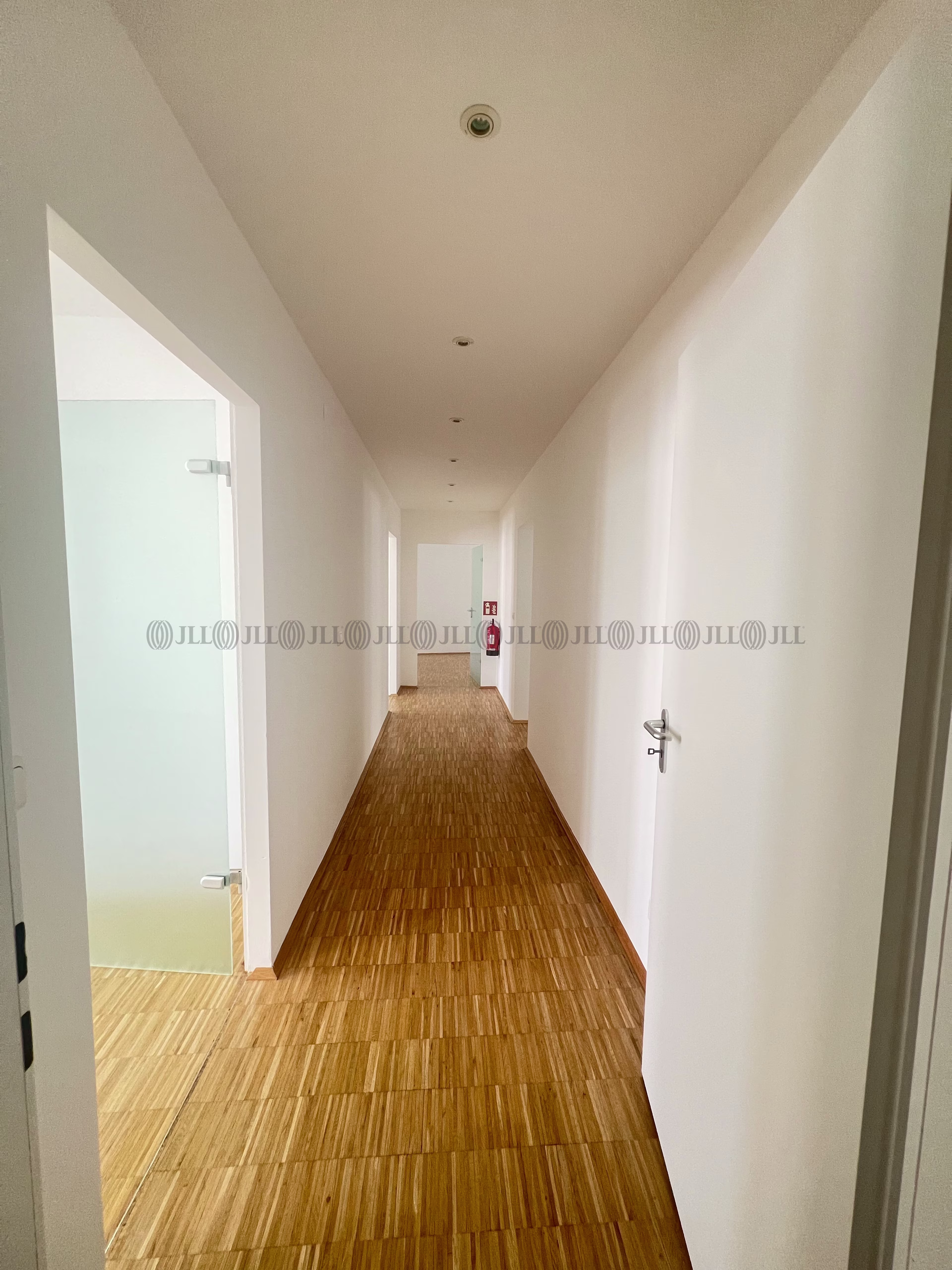 Büroimmobilie - München, Maxvorstadt - F2819
