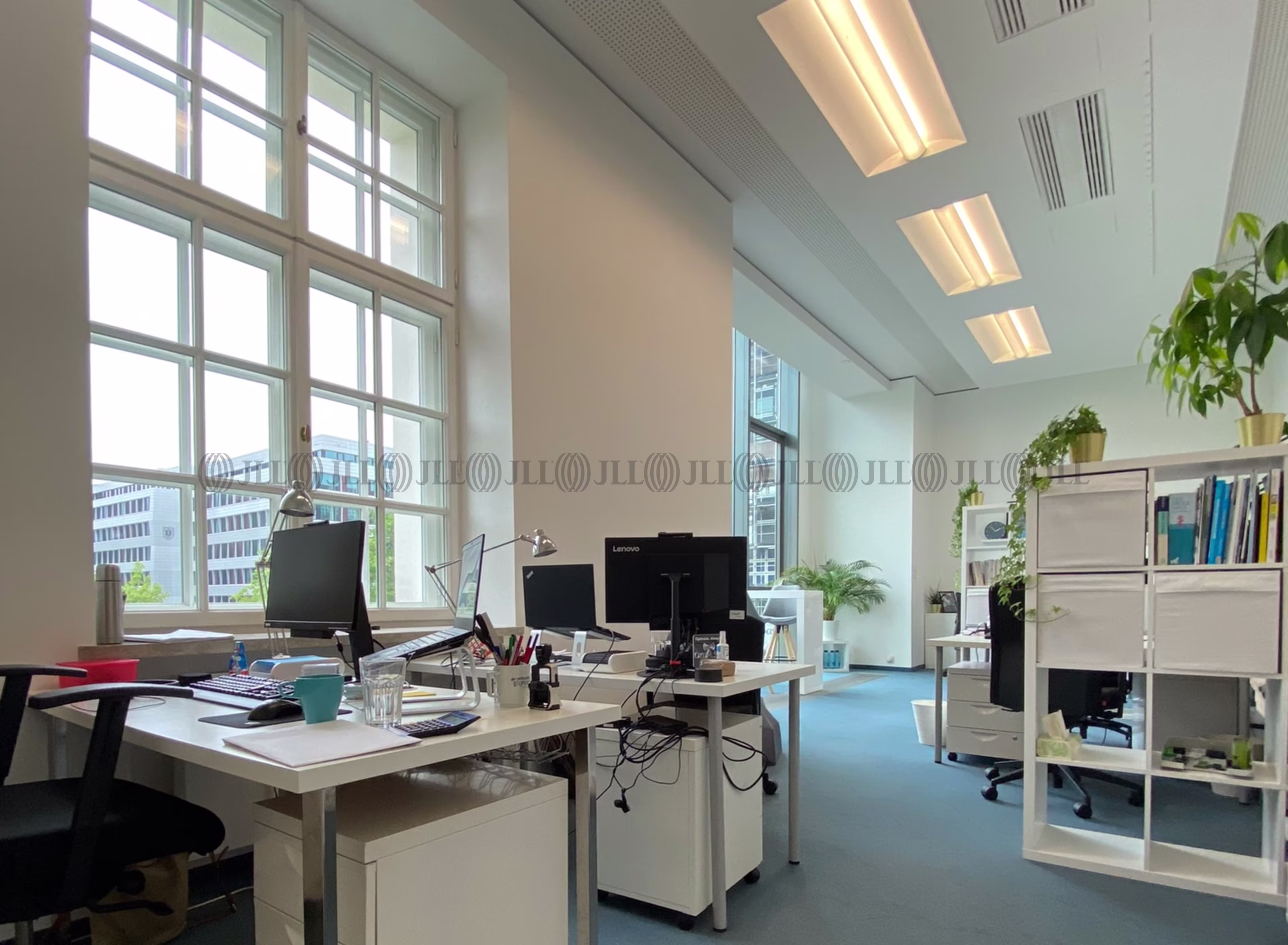 Büroimmobilie - München, Maxvorstadt - M0560