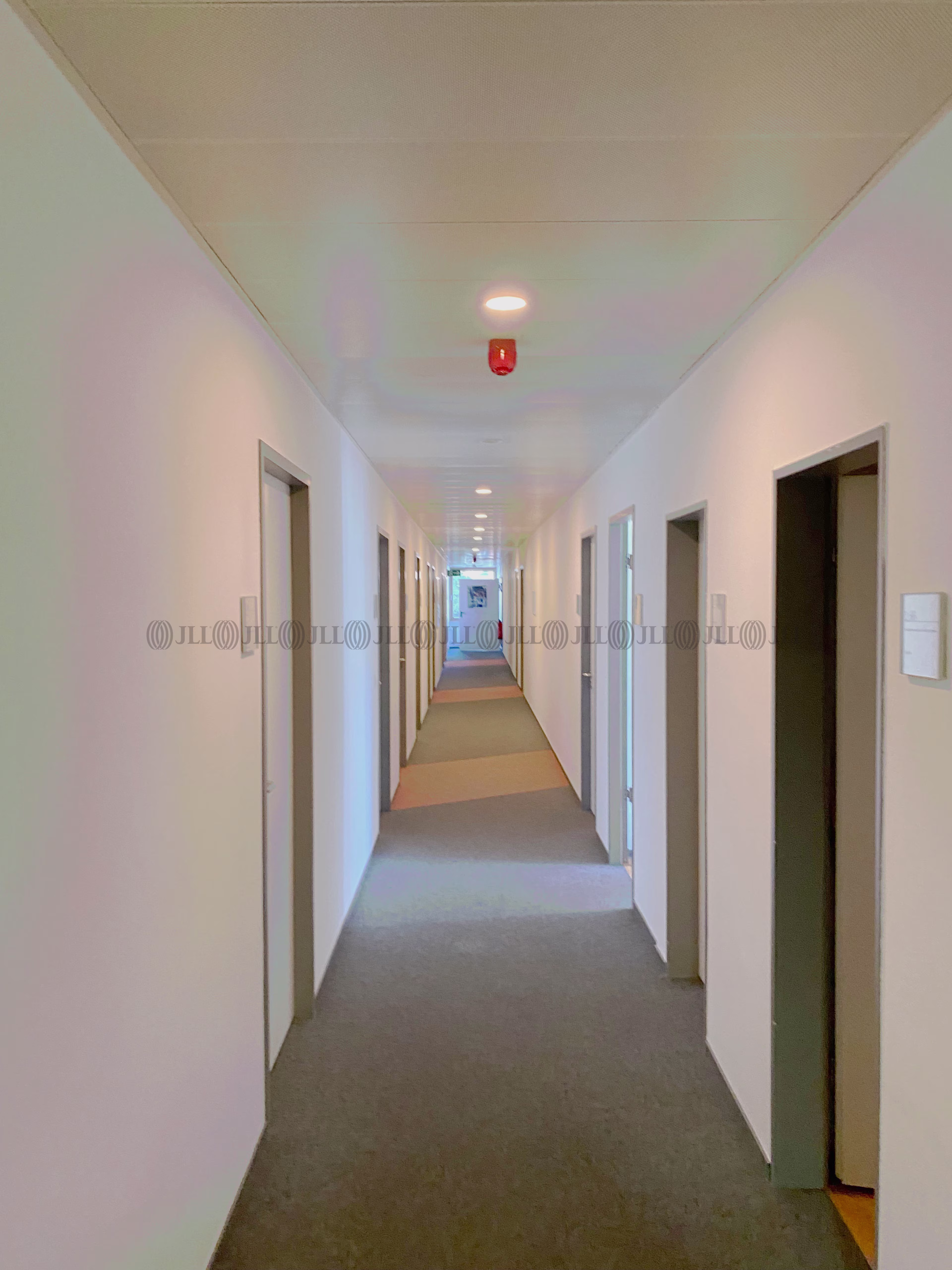 Büroimmobilie - Duisburg, Neudorf-Nord - D2813