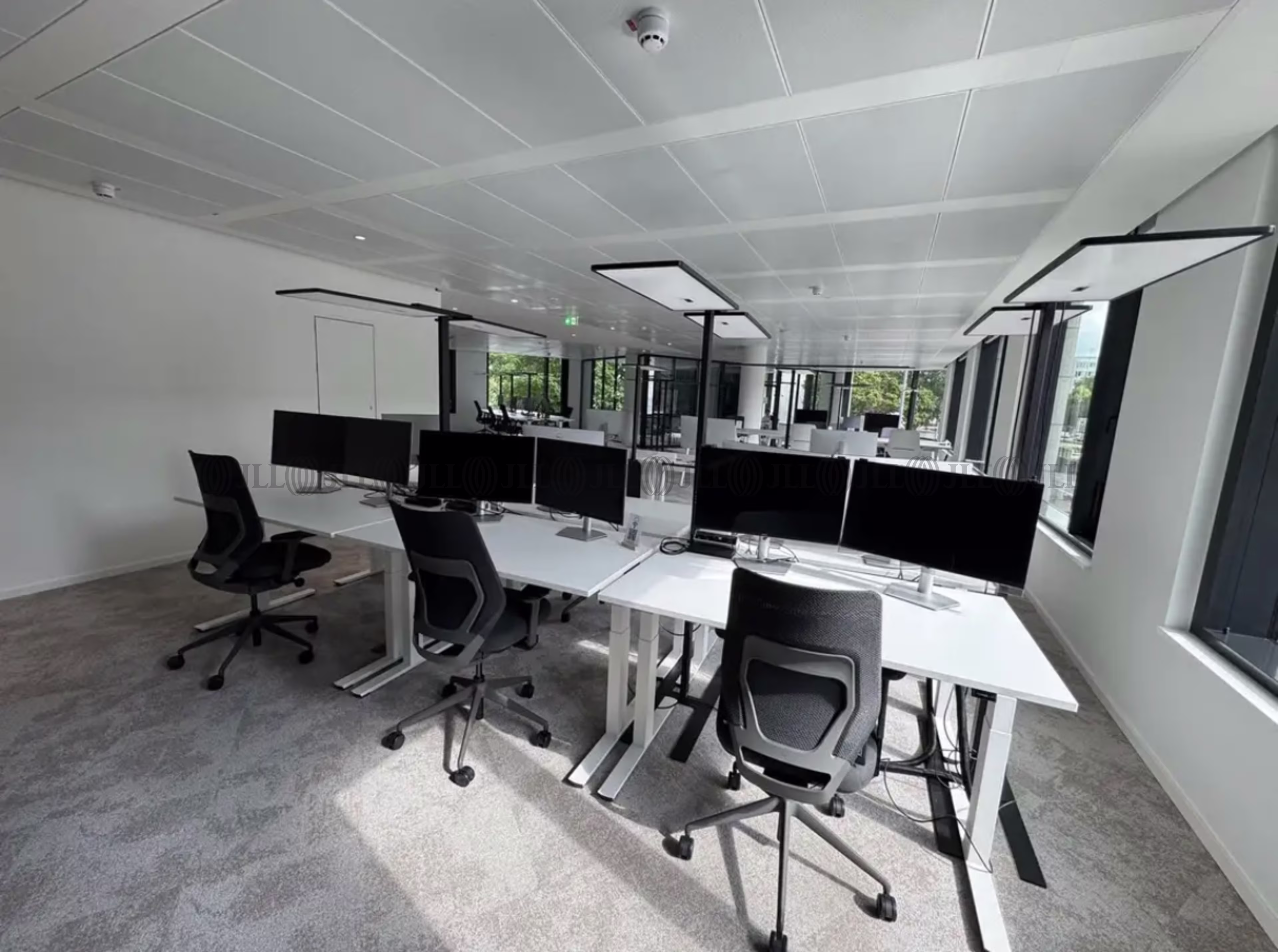 Büroimmobilie - Düsseldorf, Stadtmitte - D3281