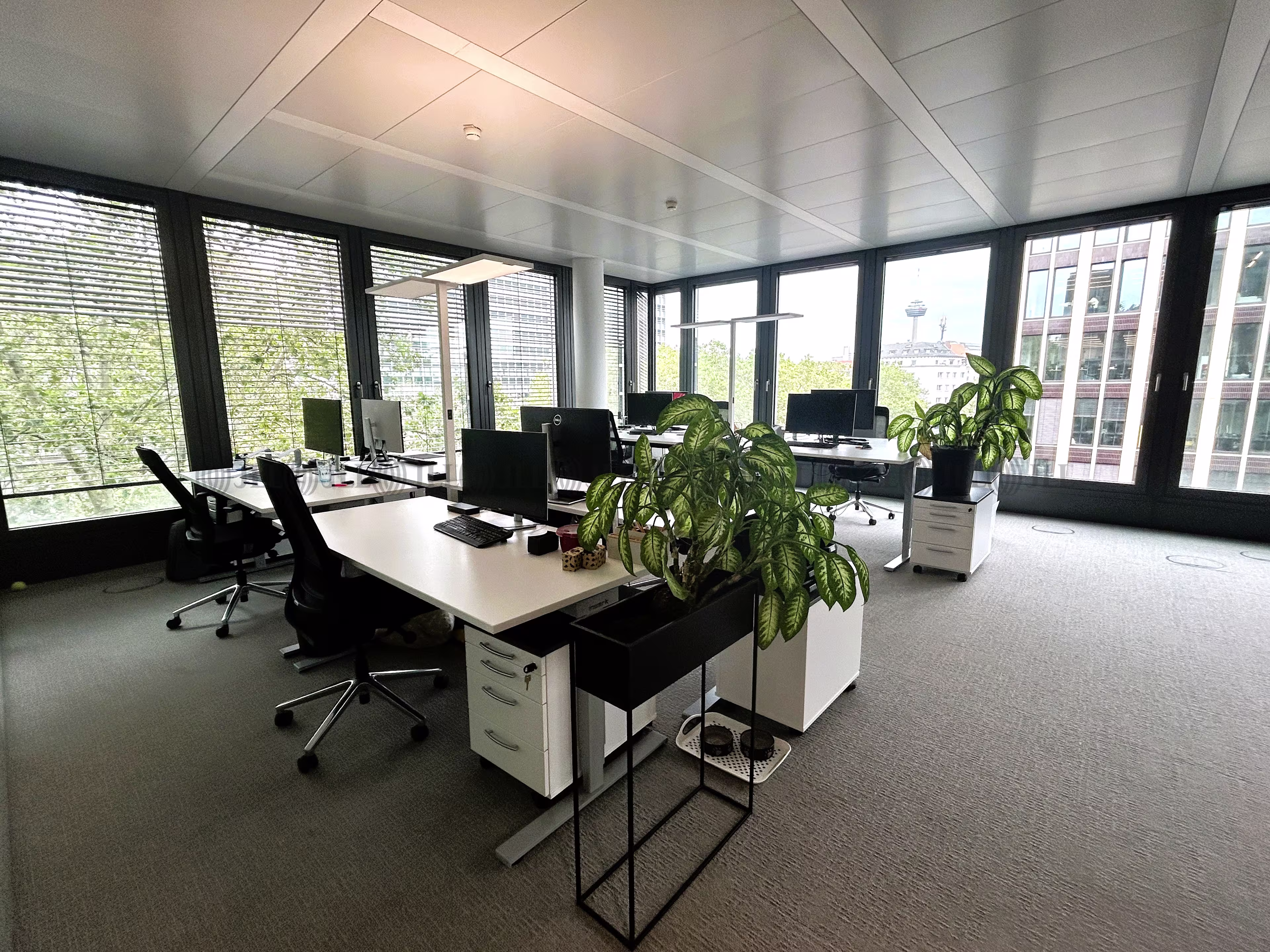 Büroimmobilie - Köln, Neustadt-Süd - K1962
