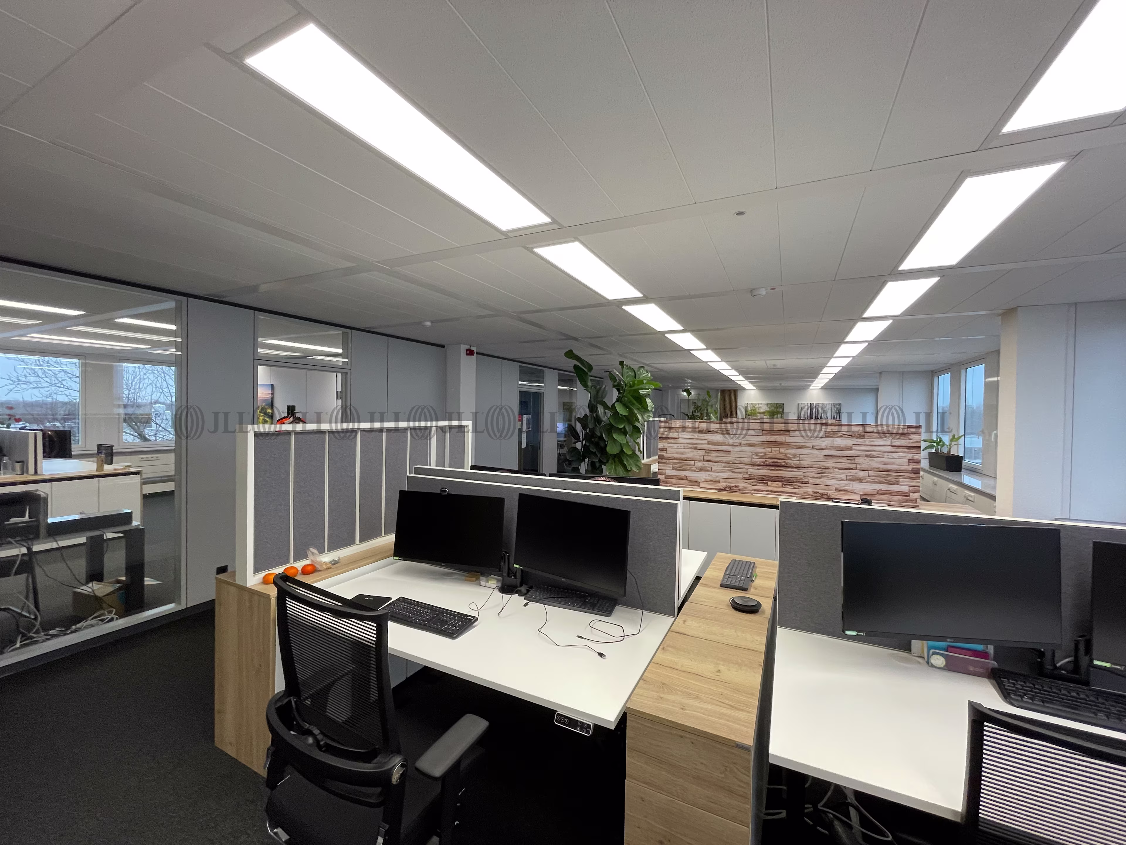 Büroimmobilie - Düsseldorf, Lichtenbroich - D3488